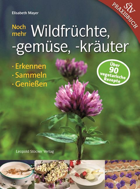 Buchcover mit lila Blume. Titel: Noch mehr Wildfrüchte, -gemüse, -kräuter. Autorin: Elisabeth Mayer. Verlag Leopold Stocker. Über 90 vegetarische Rezepte.