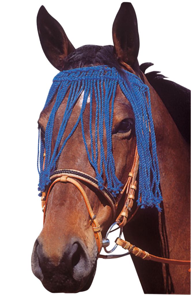 Blauer Fliegenfransen-Schutz am Pferdekopf. Fransen bedecken die Augen. Lederhalfter mit Zügeln.
