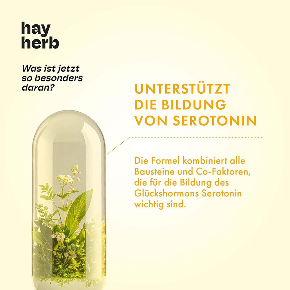 hay herb Gute Laune Komplex Kapseln