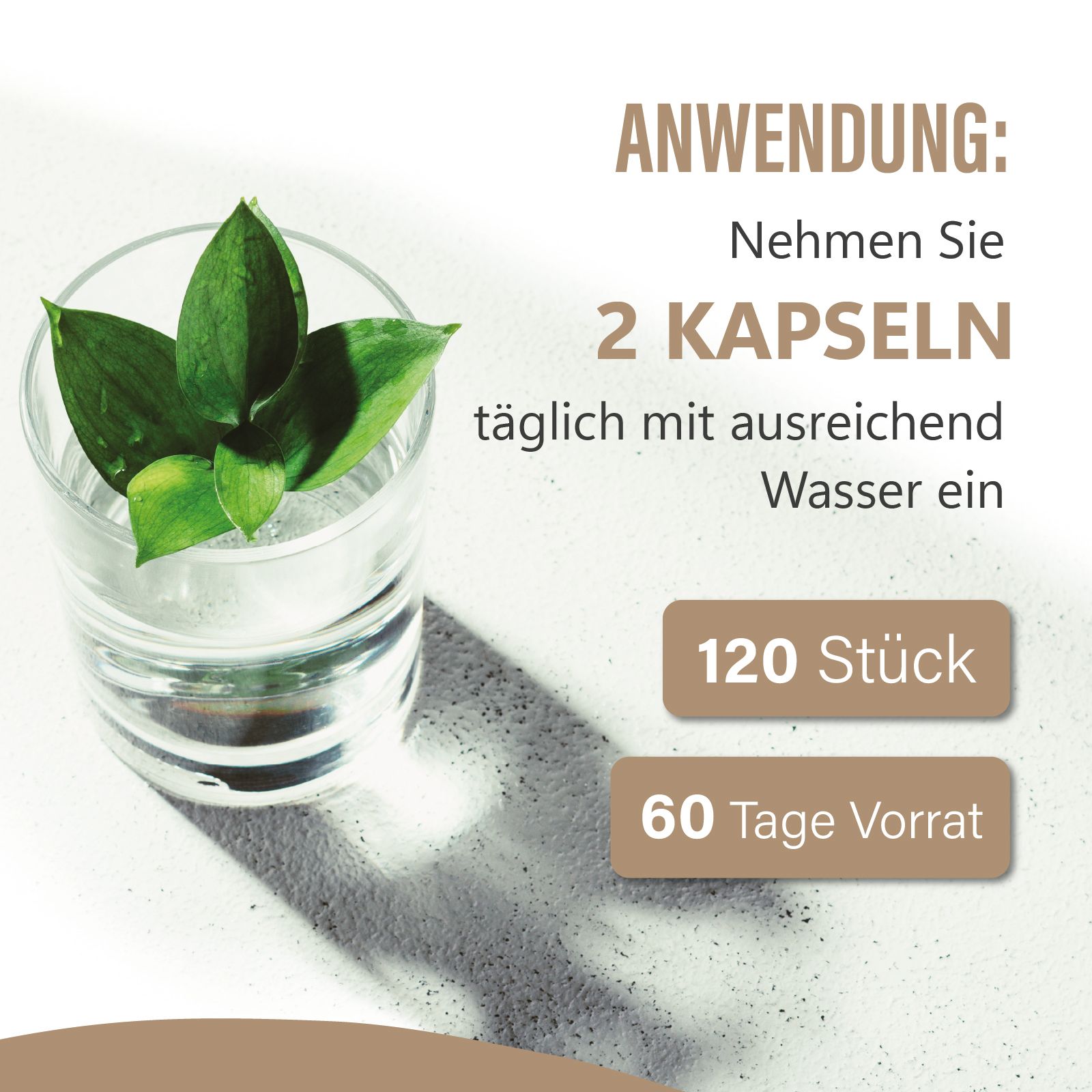 Glas mit Wasser und Blättern. Text: Nehmen Sie 2 Kapseln täglich mit Wasser ein. 120 Stück. 60 Tage Vorrat.