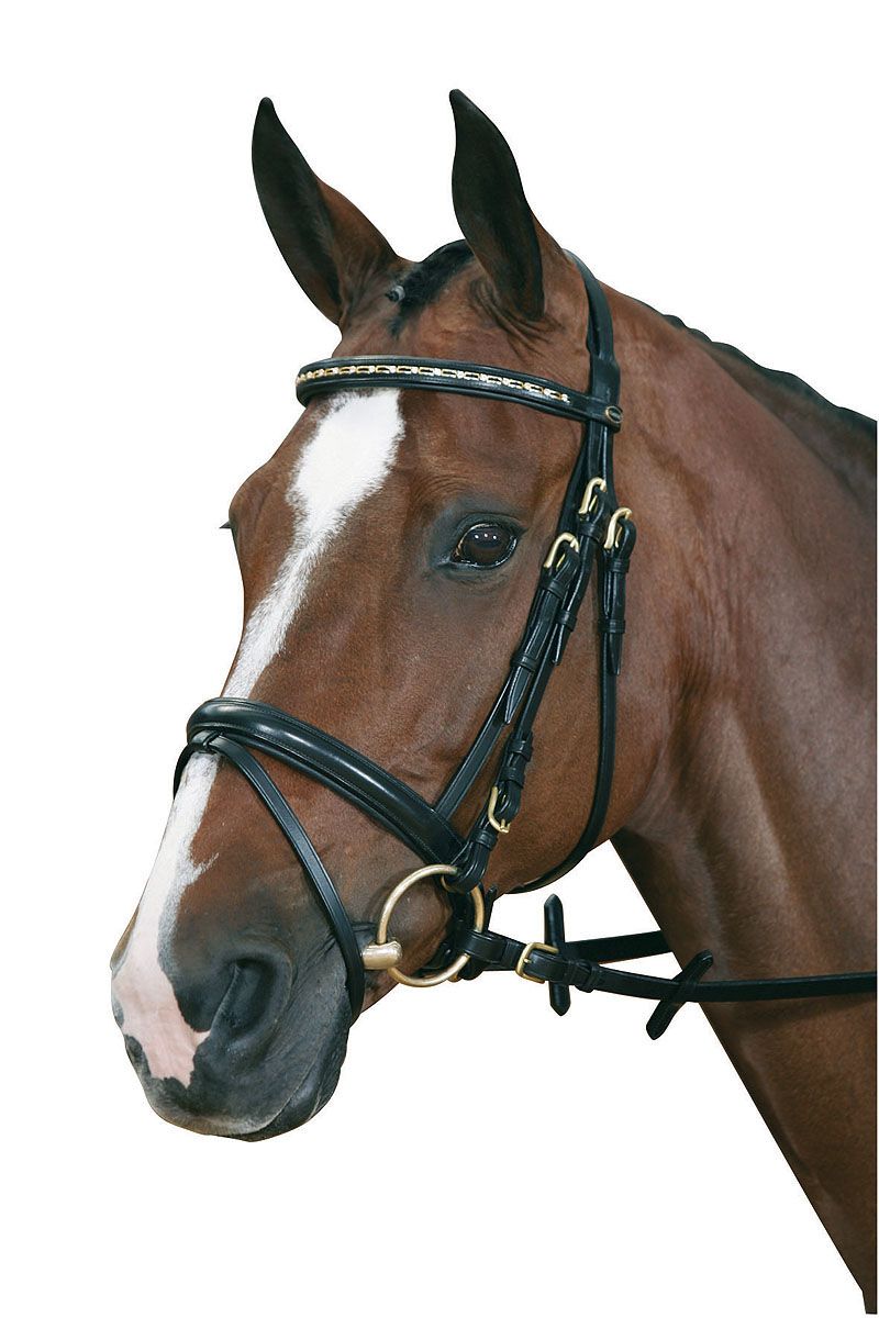 Schwarzer Zaum mit goldenen Akzenten und silberfarbenen Ringen. Auf dem Kopf eines braunen Pferdes, vor weißem Hintergrund.
