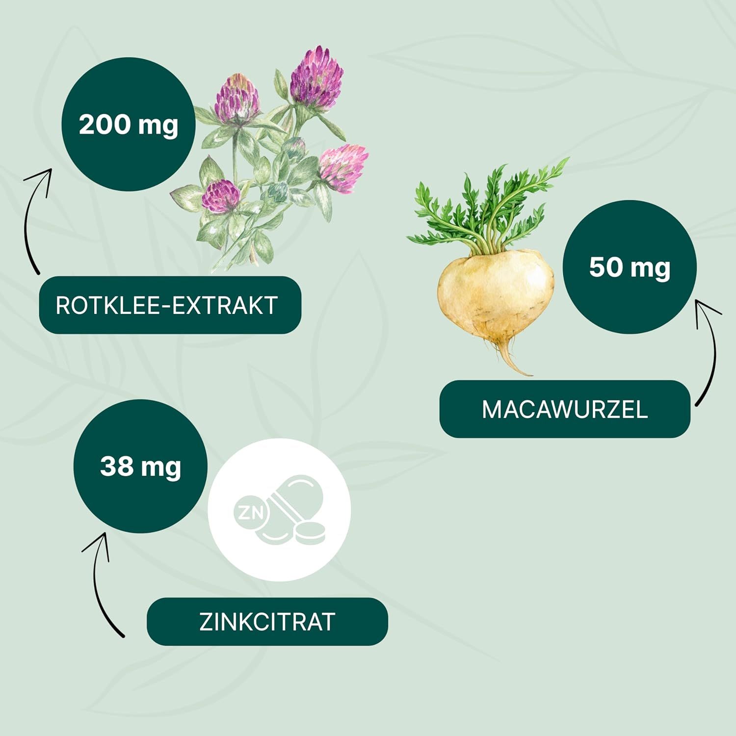 Grafik mit Inhaltsstoffen: Rote Klee Extrakt (200mg), Macawurzel (50mg), Zinkcitrat (38mg). Pfeile verbinden Inhaltsstoffe.