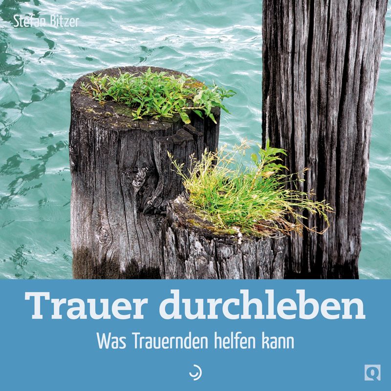 Buchcover mit Titel "Trauer durchleben". Holzpfähle im Wasser, mit Grün bewachsen. Autorname "Stefan Bitzer".
