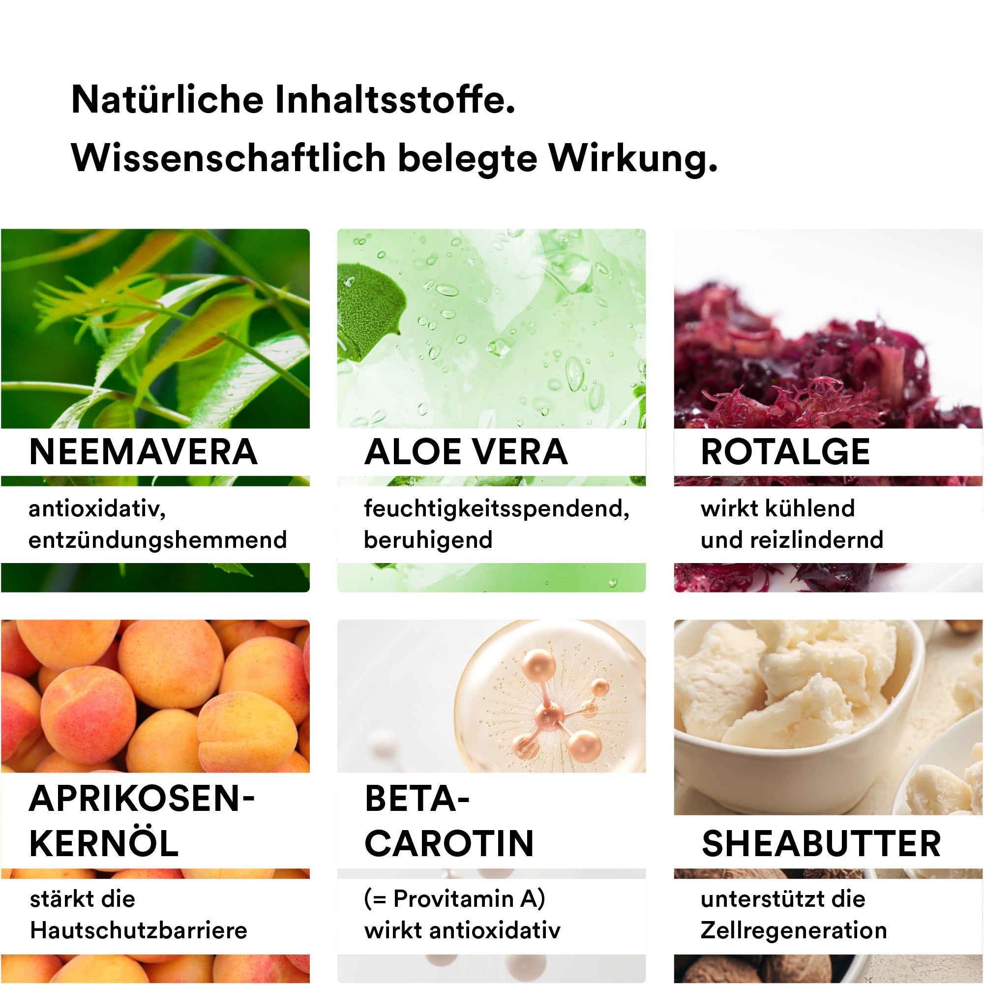 Nahaufnahmen von Inhaltsstoffen: Neem, Aloe Vera, Rotalge, Aprikosenkernöl, Beta-Carotin, Sheabutter. Textbeschreibungen.