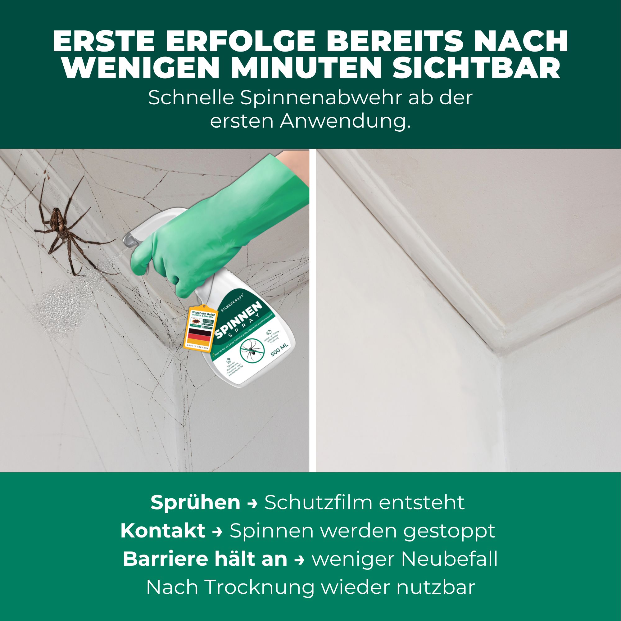 Zwei Bilder: Vorher/Nachher-Effekt. Text: Schnelle Spinnenabwehr. Produkt: SILBERKRAFT Spinnenspray, 500 ml.