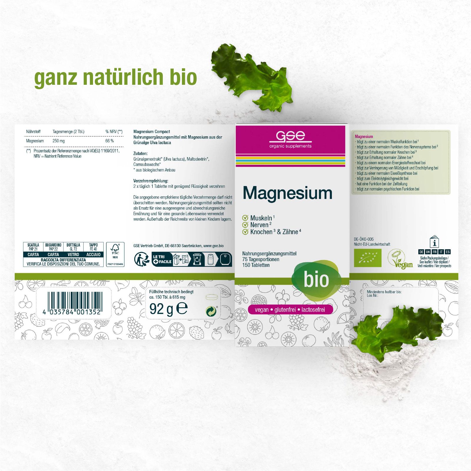 GSE Magnesium Compact