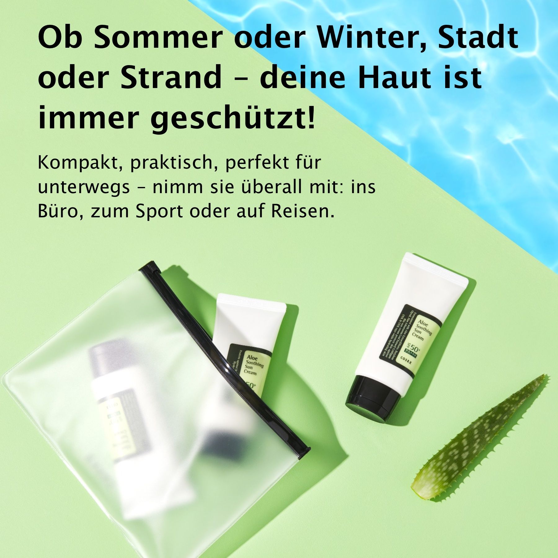 Drei Tuben Sonnencreme in einer transparenten Tasche. Aloe Vera Blatt. Text: Büro, Sport oder auf Reisen.