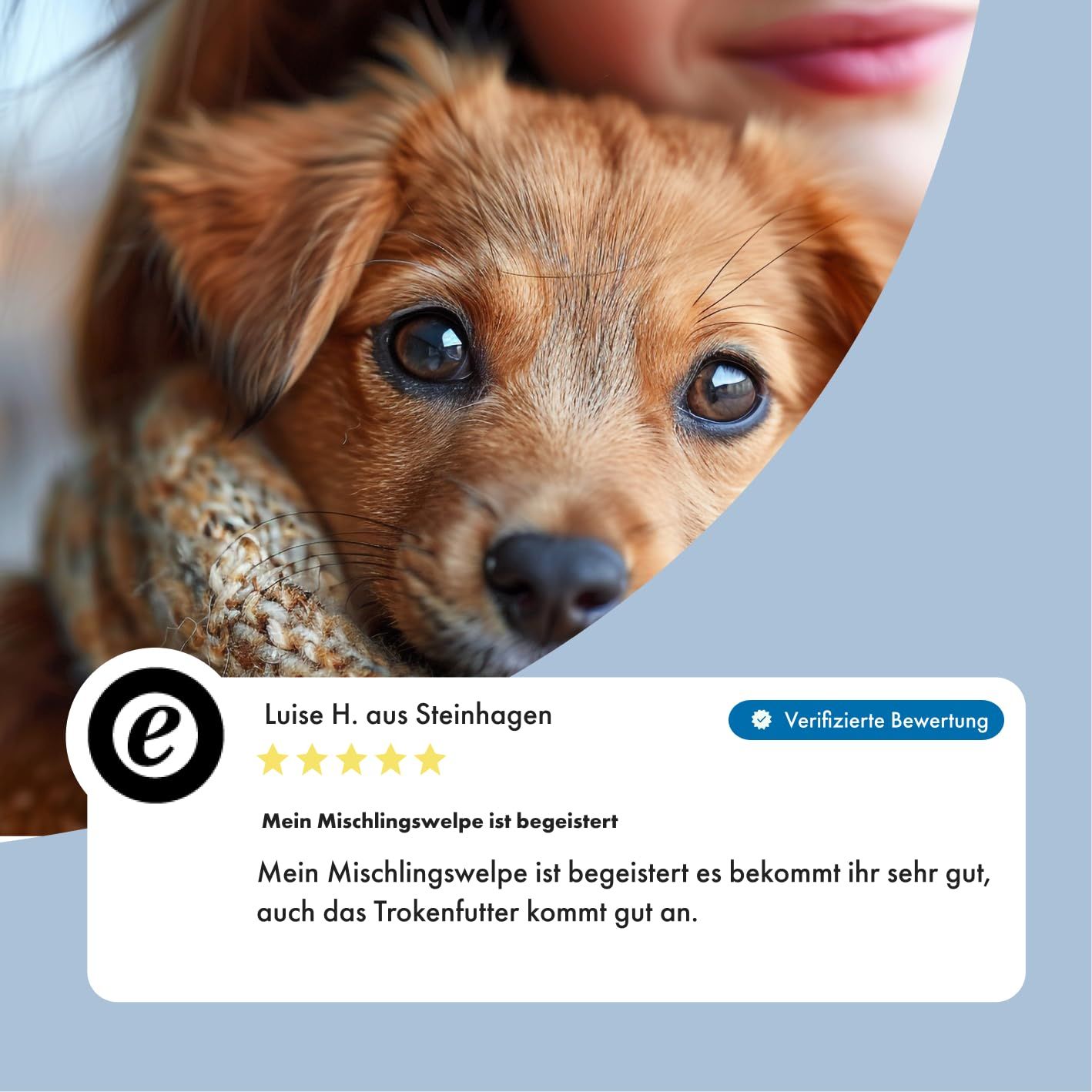 Dose irisches Huhn Nassfutter für Hunde, Junior Sensitiv.