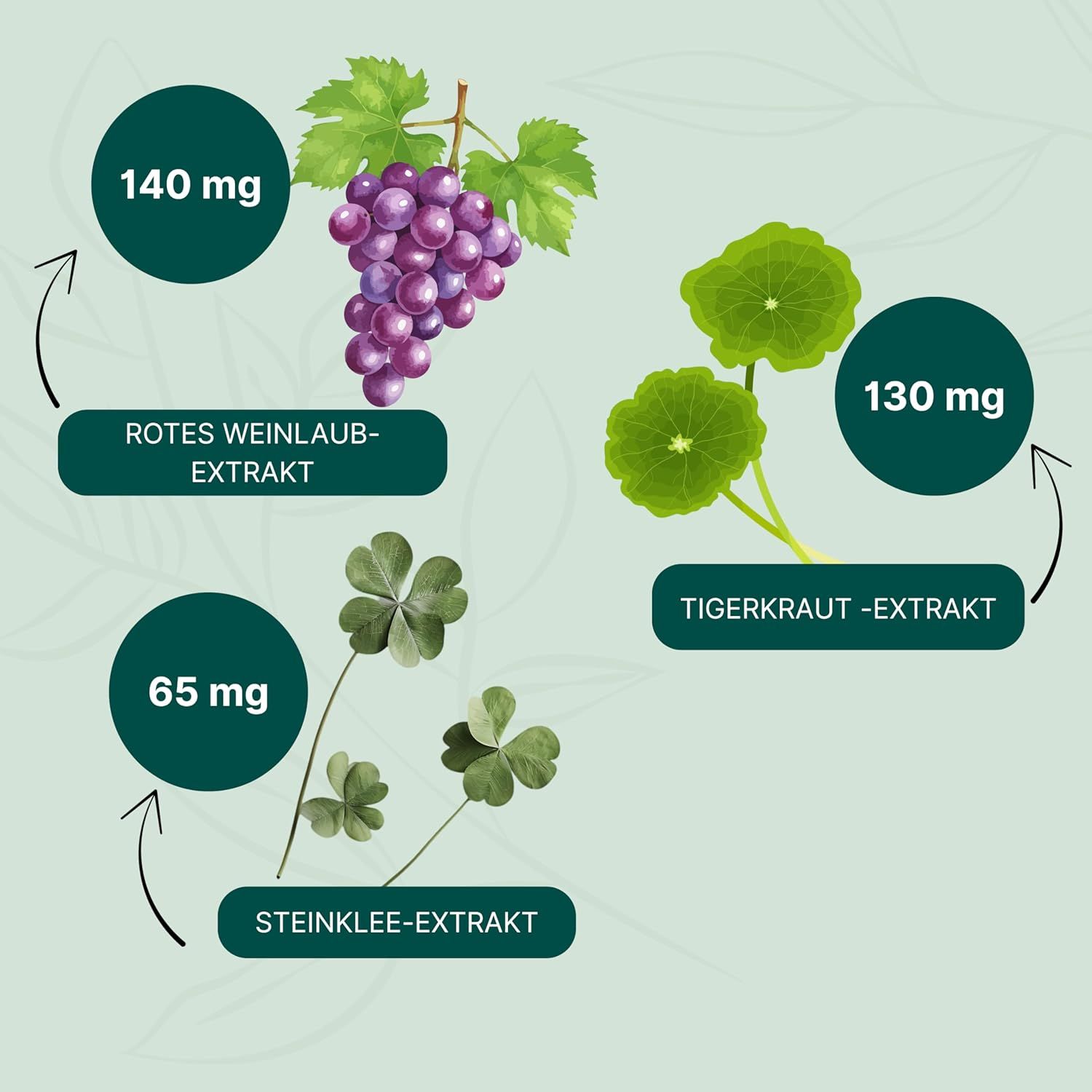Grafik: Trauben, Kleeblätter, Tigerkraut. Text: Rotes Weinlaubextrakt, Tigerkrautextrakt, Steinkleextrakt.