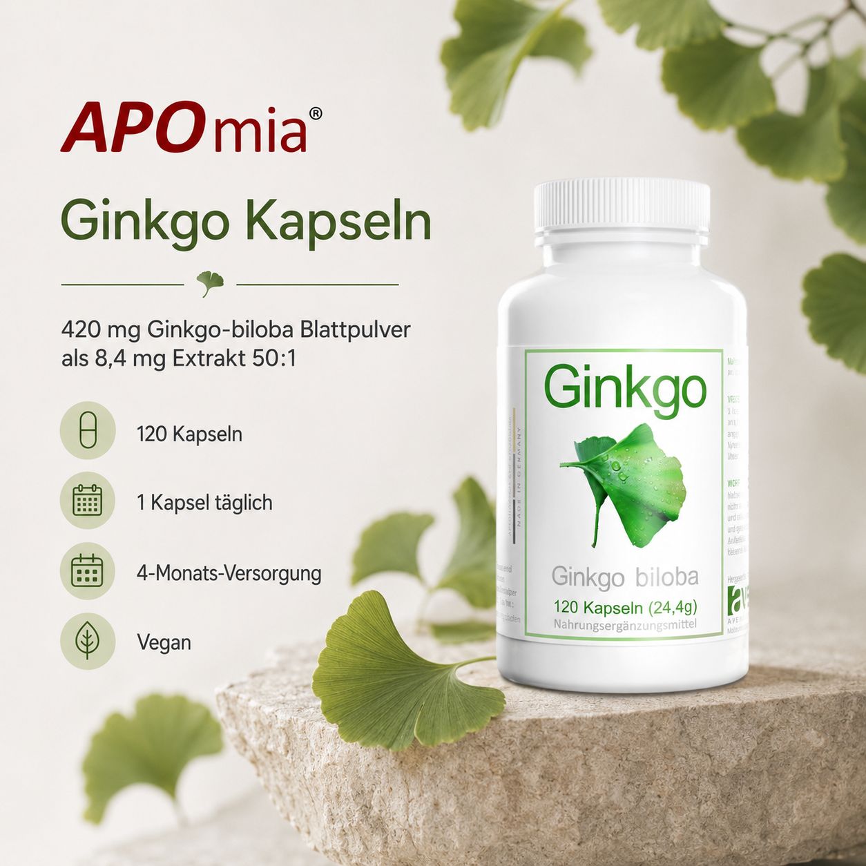 Flasche Ginkgo Kapseln auf einem Steinpodest, mit Ginkgoblättern und detaillierten Produktinformationen.