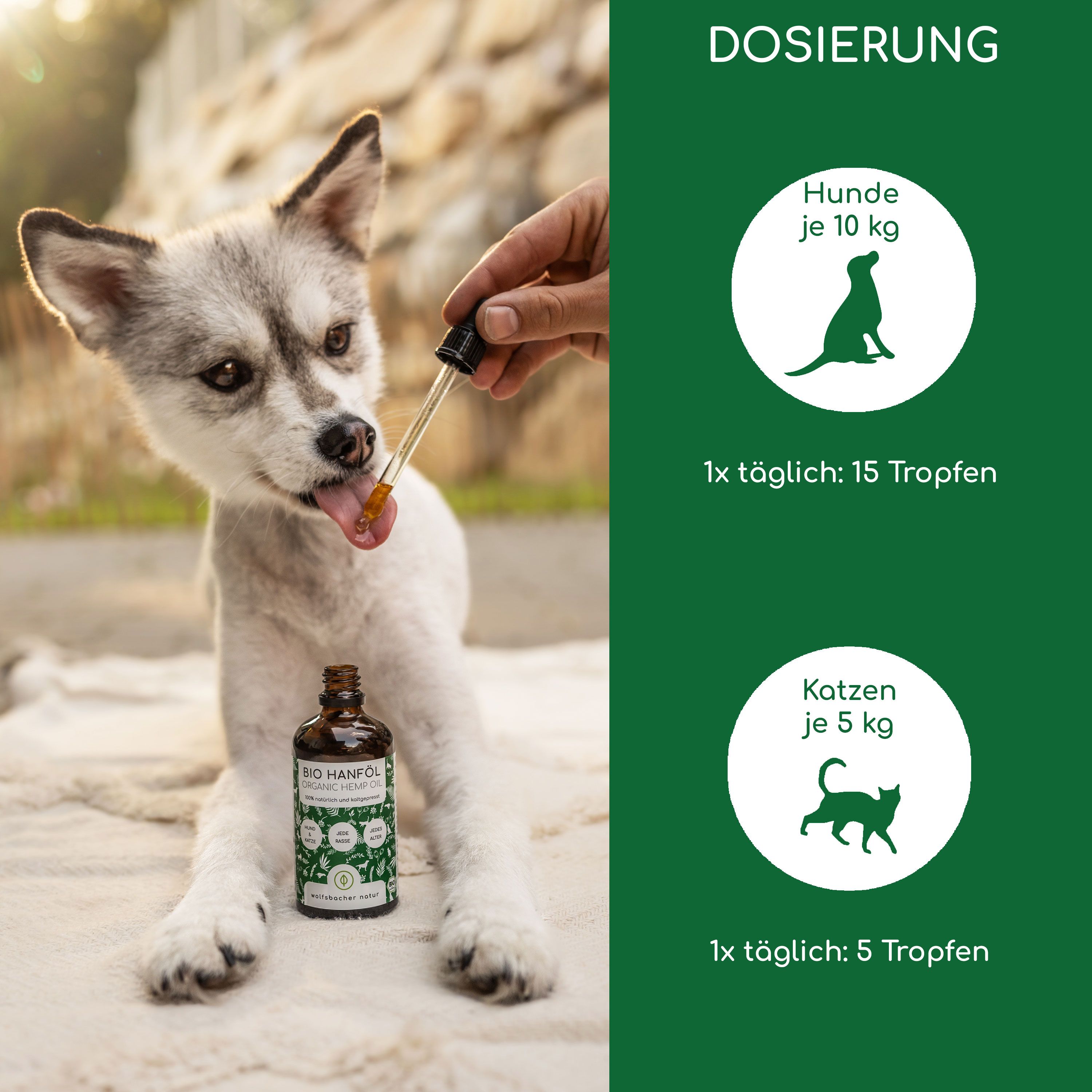 Hund bekommt Öl mit Pipette. Dosierung: Hunde je 10 kg, 15 Tropfen täglich. Katzen je 5 kg, 5 Tropfen täglich.