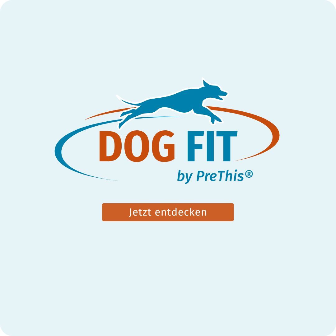 Logo DOG FIT by PreThis®, blauer Hund, Text: Jetzt entdecken, orangefarbene Schaltfläche.