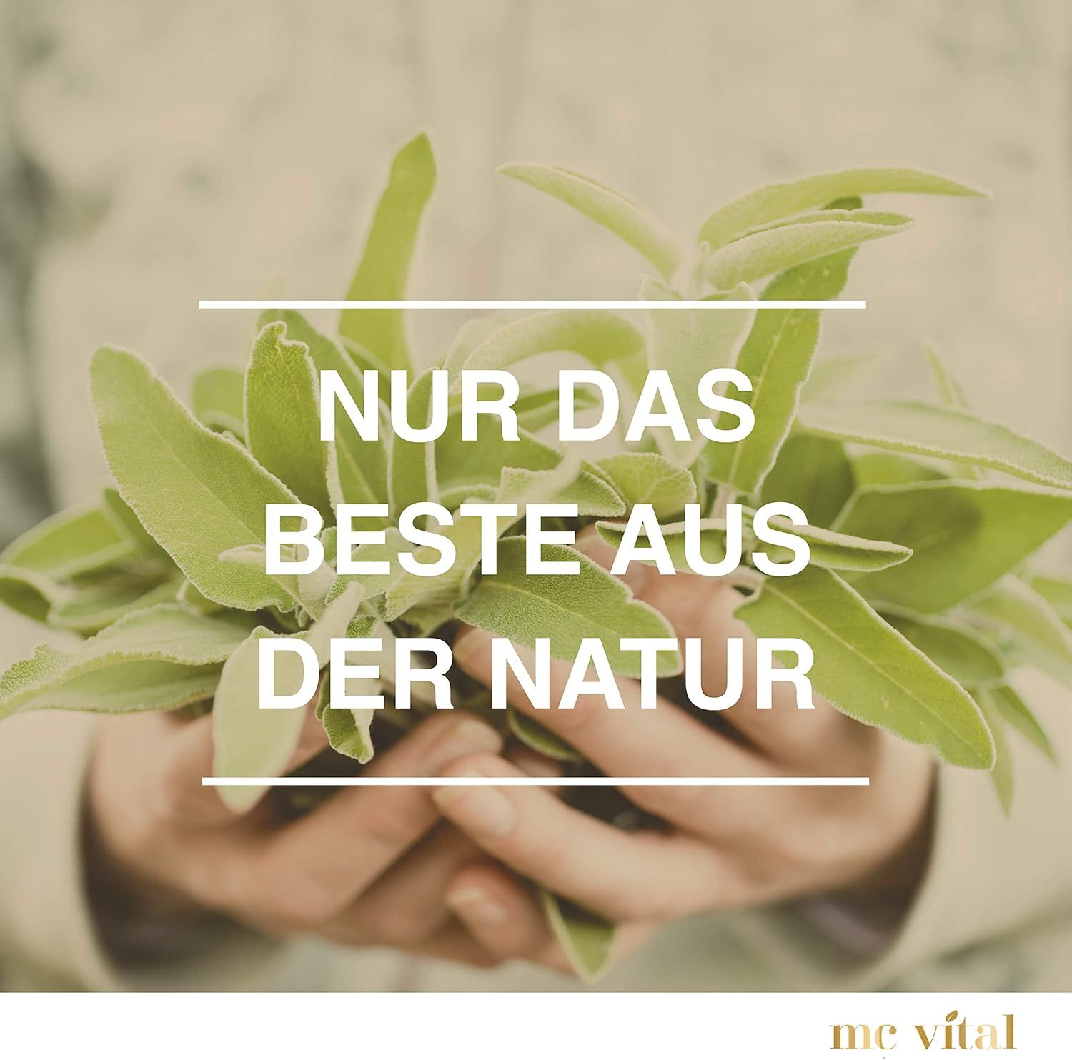 McVital Basen Balance Kapseln