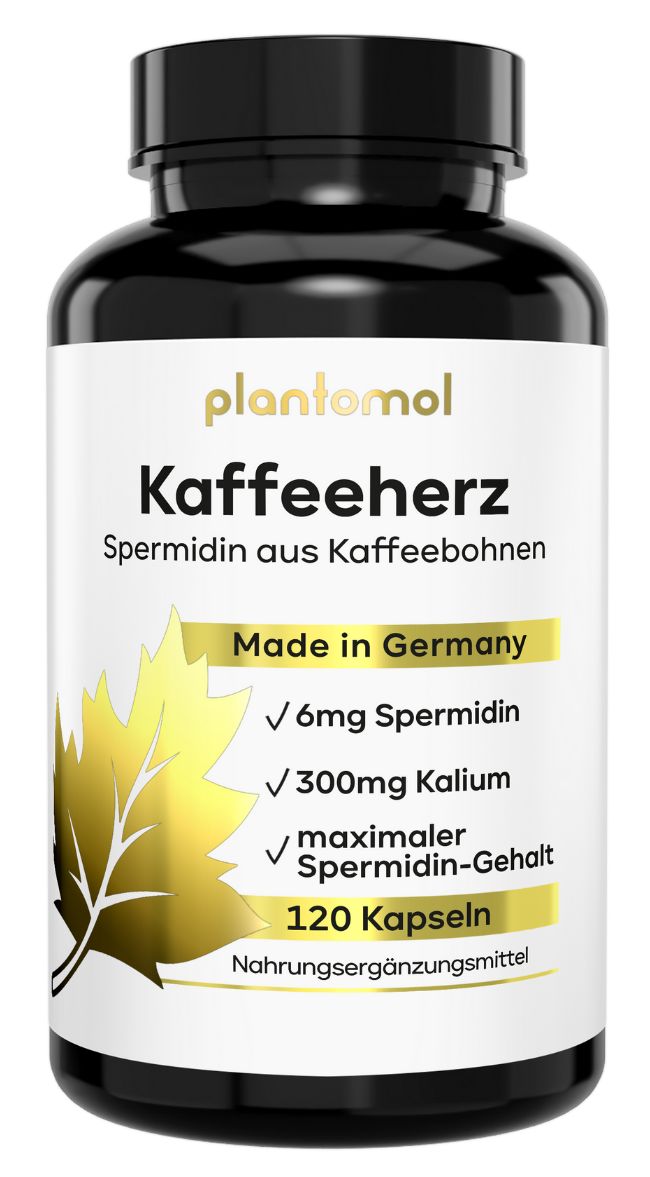 Braune Flasche mit plantomol® Kapseln. Aufschrift: Kaffeeherz, 6mg Spermidin, 300mg Kalium, 120 Kapseln. Made in Germany.