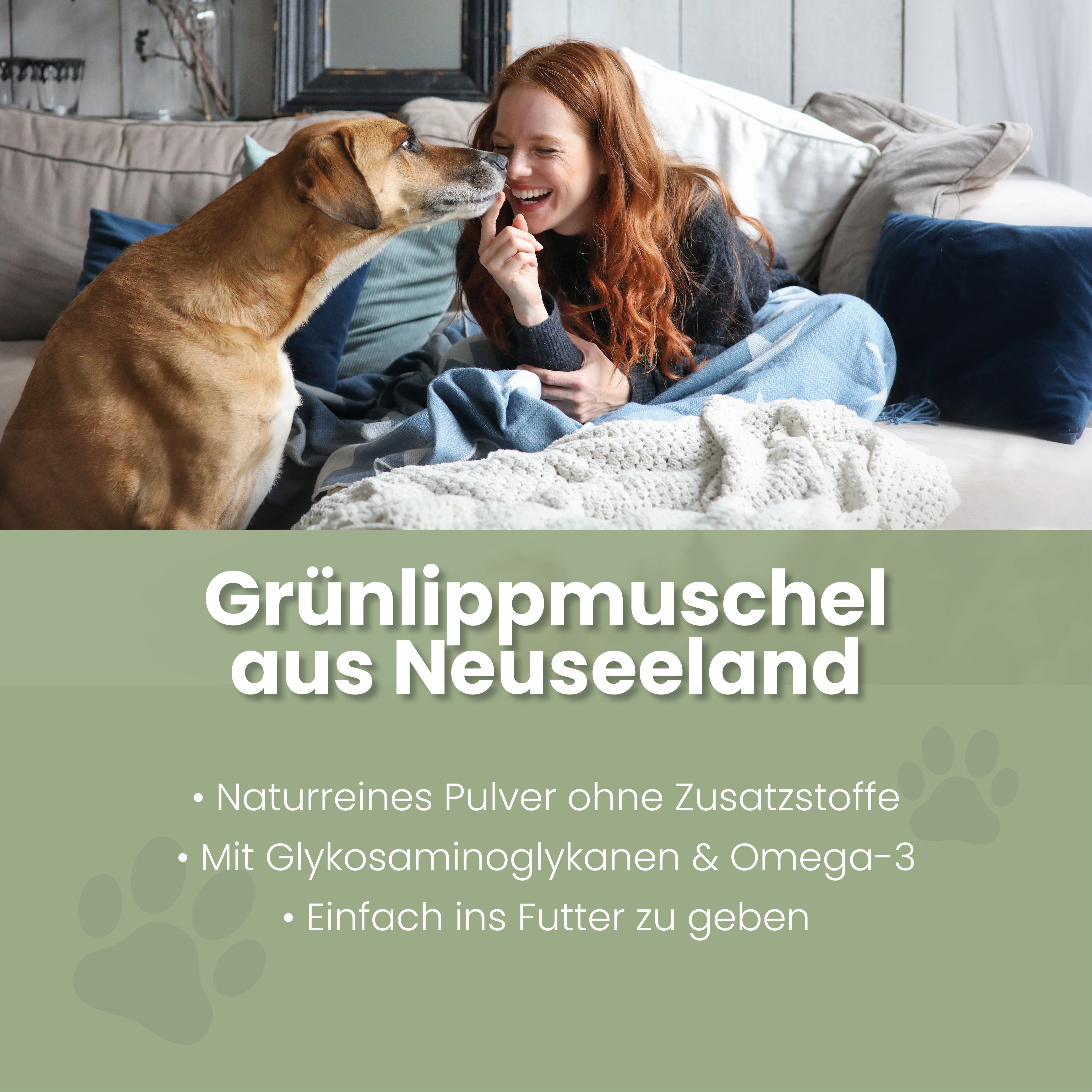 Text mit "Grünlippmuschel aus Neuseeland". Auflistung: Naturreines Pulver, ohne Zusatzstoffe, mit Glykosaminoglykanen & Omega-3, einfach ins Futter zu geben.