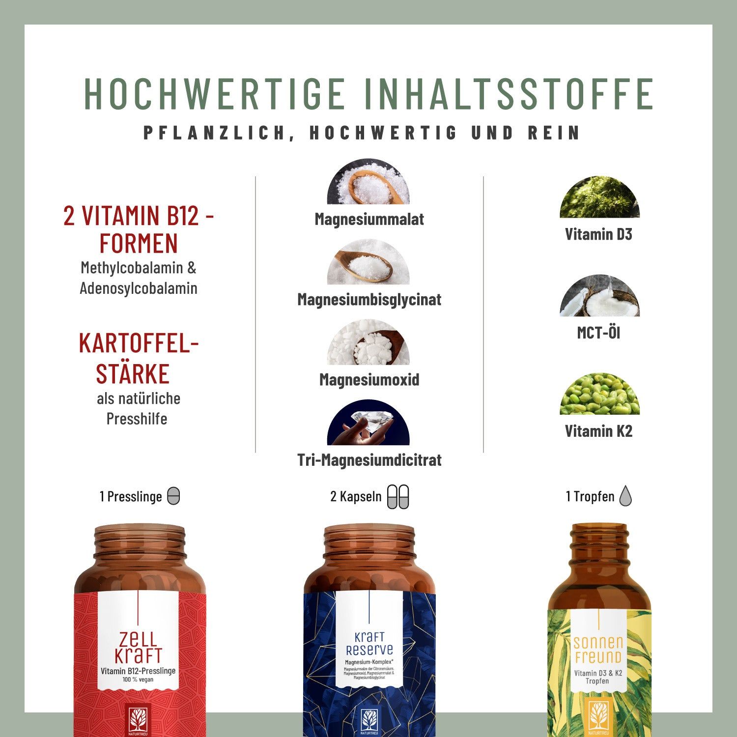 Infografik mit Inhaltsstoffen. 2 Vitamin B12-Formen, Kartoffelstärke, Magnesiummalat, -glycinat, -oxid, -dicitrat, Vitamin D3, K2, MCT-Öl.