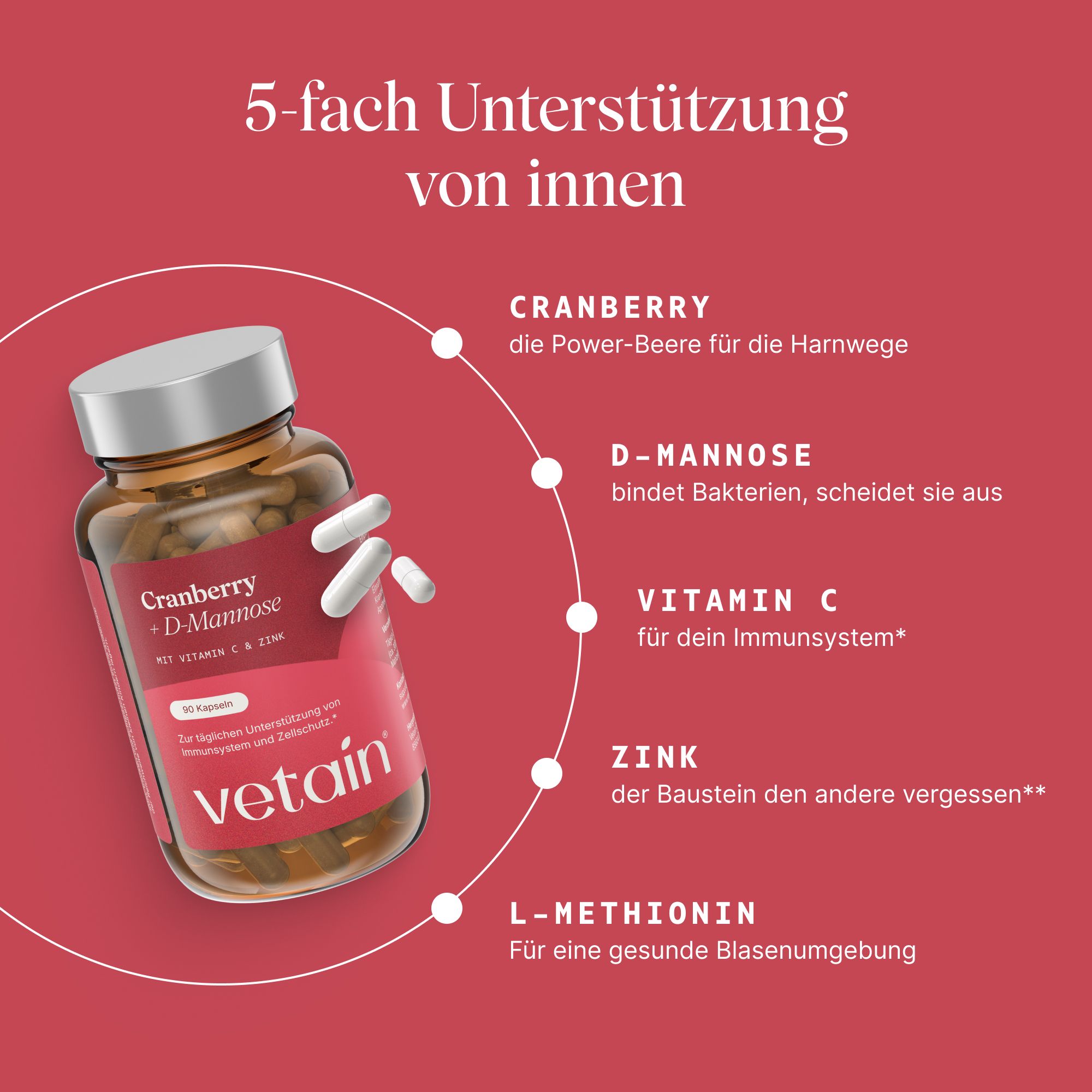 Vetain Cranberry + D-Mannose Kapseln mit Vitamin C und Zink. Braune Glasflasche mit silbernem Deckel.