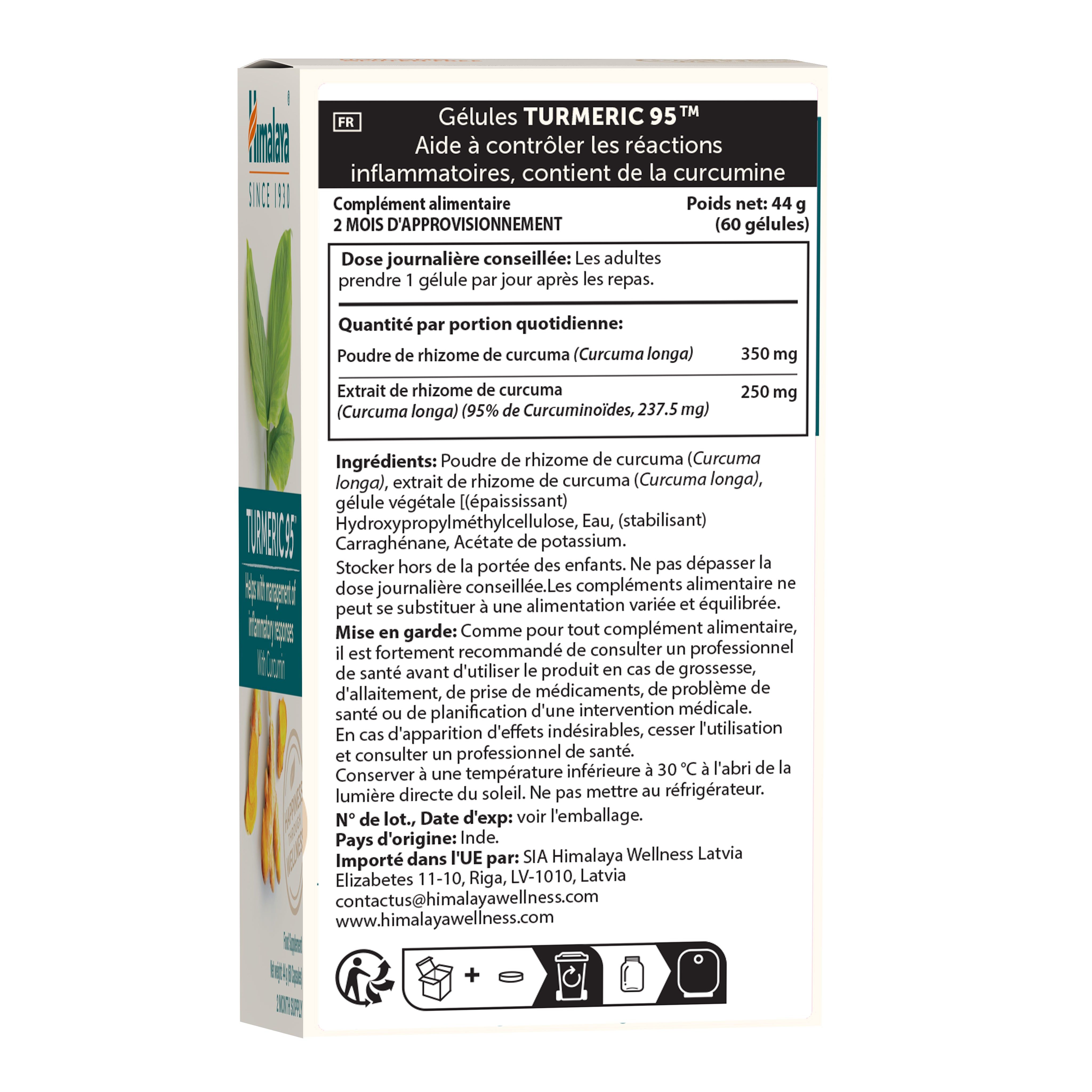 Rückseite der Himalaya Turmeric 95 Verpackung mit Produktinformationen und Inhaltsstoffen.