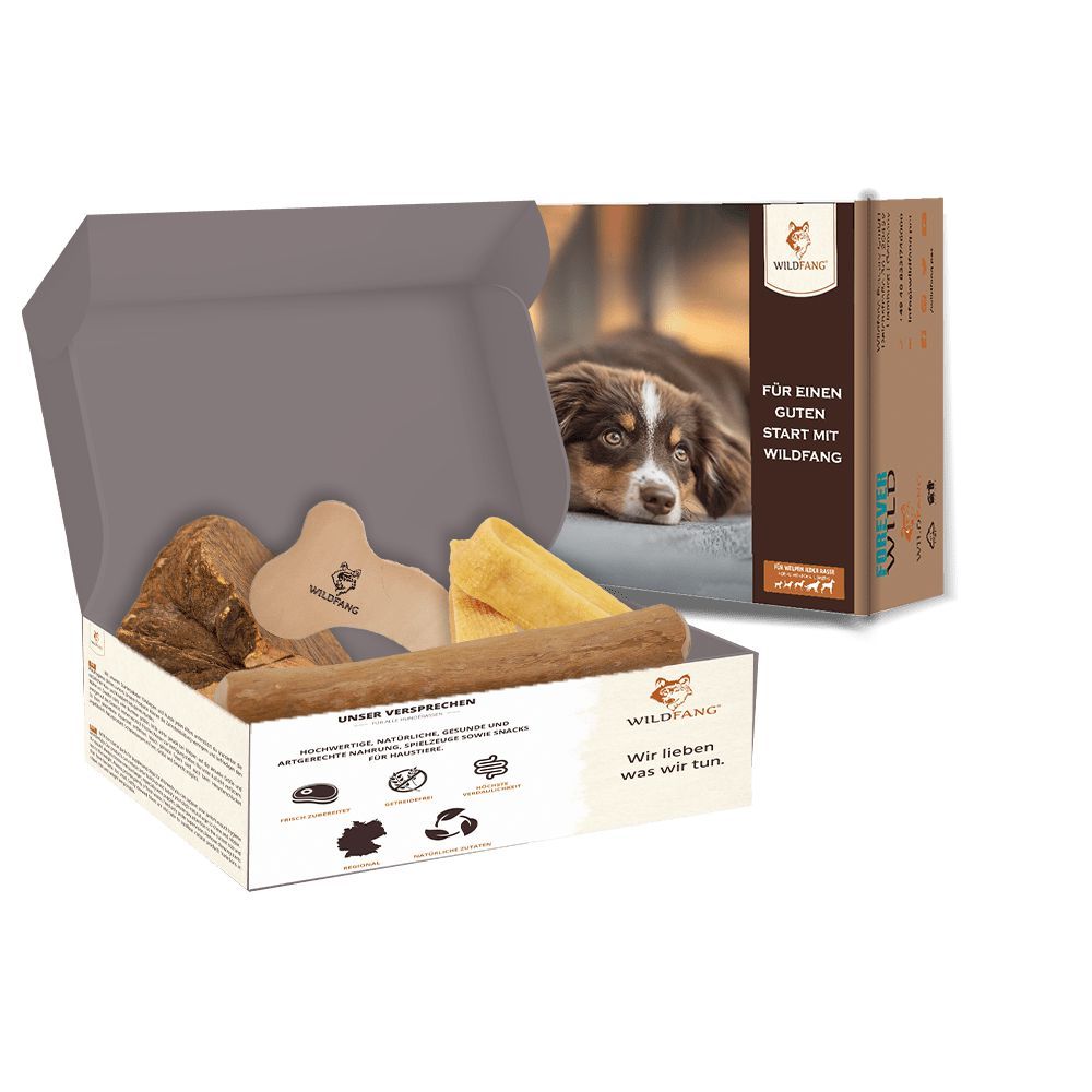 Geöffnete Box mit verschiedenen Kausnacks. Auf der Box ist ein Hund abgebildet. Text: Für einen guten Start mit Wildfang.