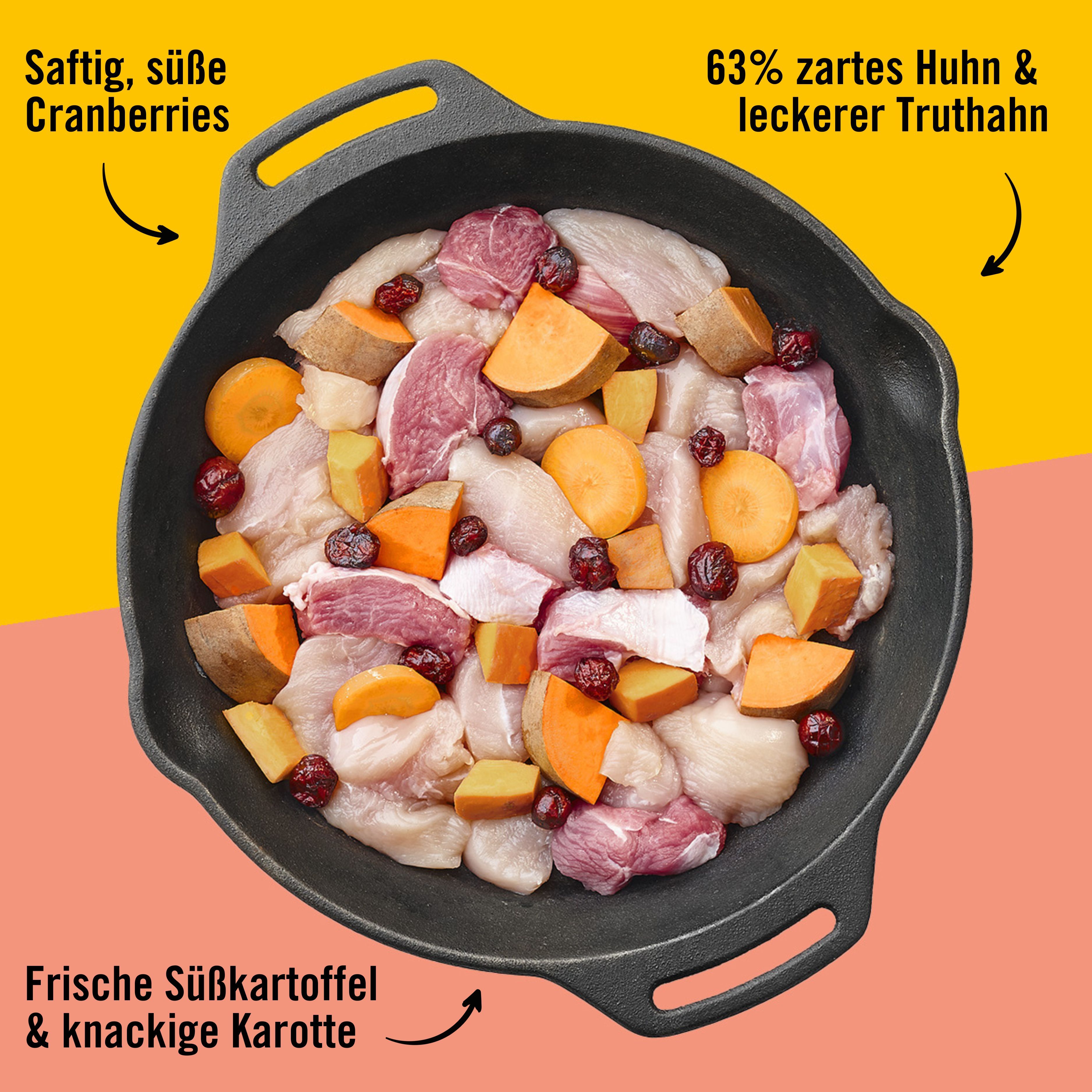 Pfanne mit Zutaten für Hundefutter: Huhn, Truthahn, Cranberries, Süßkartoffel und Karotte. Pfeile zeigen auf Zutaten.
