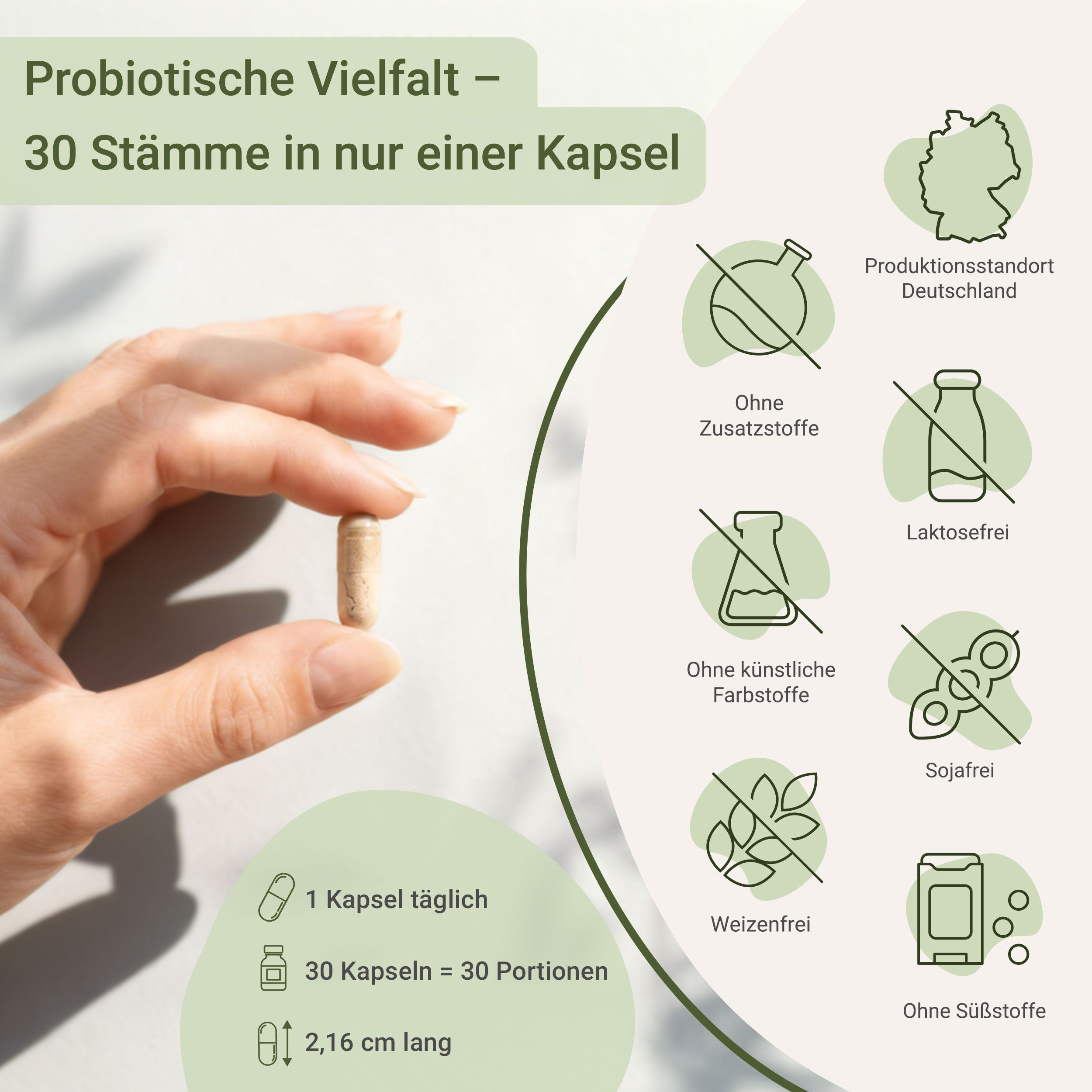 Hand hält eine Kapsel. Aufschrift: 1 Kapsel täglich, 30 Kapseln = 30 Portionen, 2,16 cm lang. Infografiken: ohne Zusatzstoffe, laktosefrei, etc.