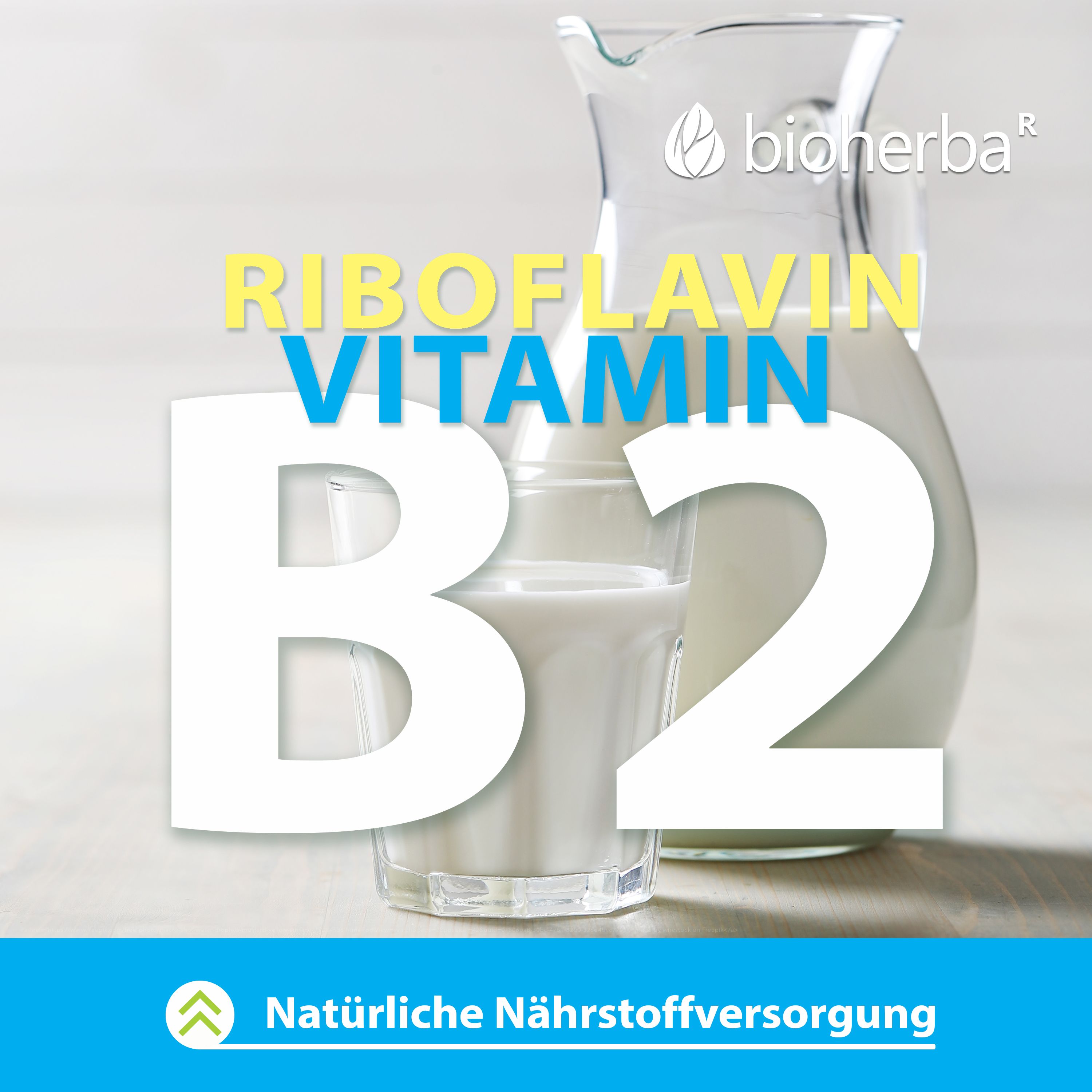 Glas mit Milch und Kanne. Große weiße Zahl 2. Text: Riboflavin, Vitamin B2. Natürliche Nährstoffversorgung.