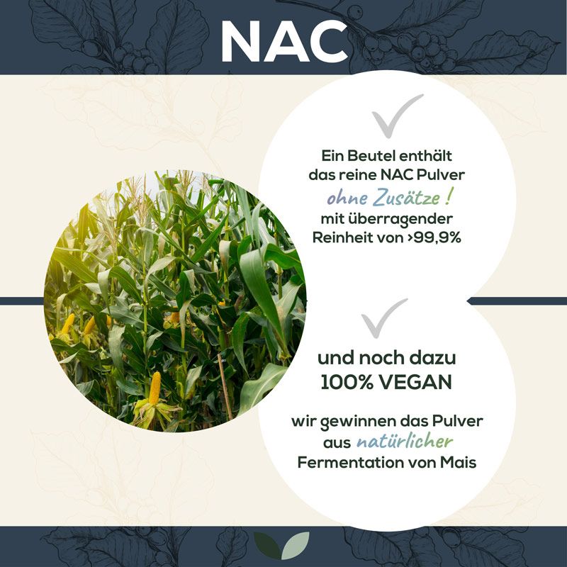 Text-Grafik: NAC, N-Acetyl-L-Cystein. Text über vegane Herstellung aus Mais. Zwei Check-Zeichen. Maisfeld im Hintergrund.