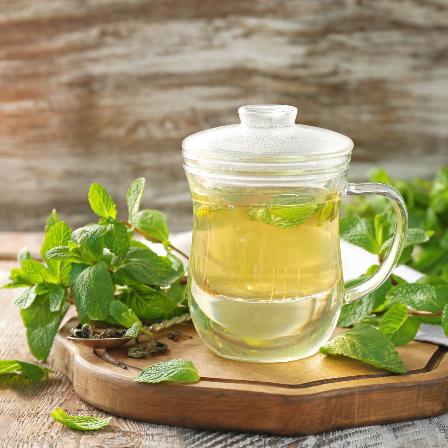 Glasbecher mit Deckel, gefüllt mit gelbem Tee und Minzblättern. Auf Holztablett mit frischen Minzzweigen.