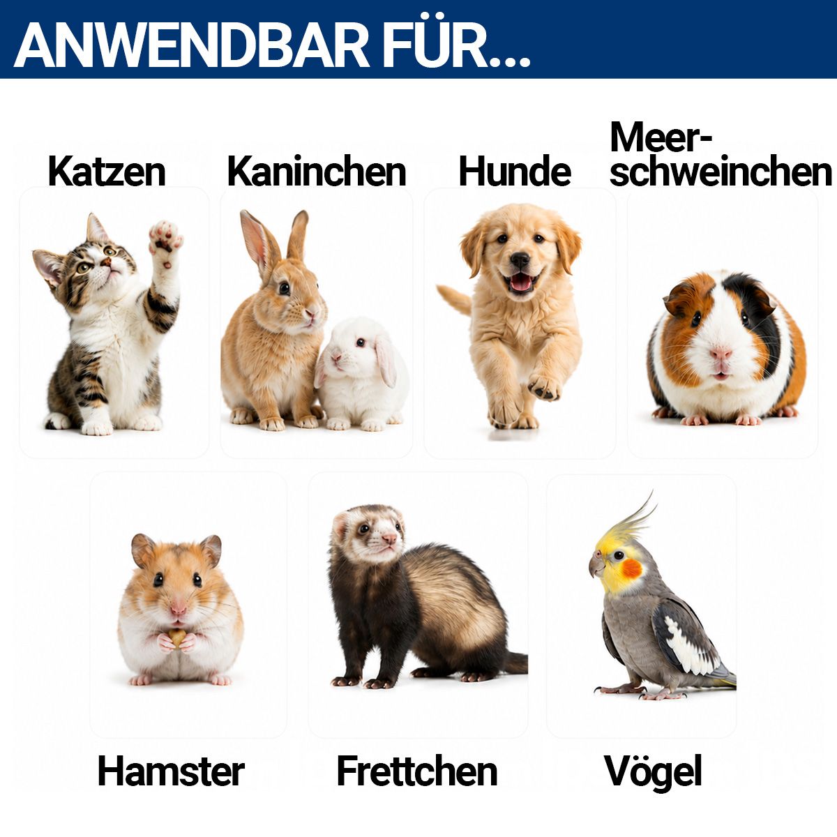 PetFox Krallenschere Krallenzange mit Feile für Hunde, Katzen und Kleintiere