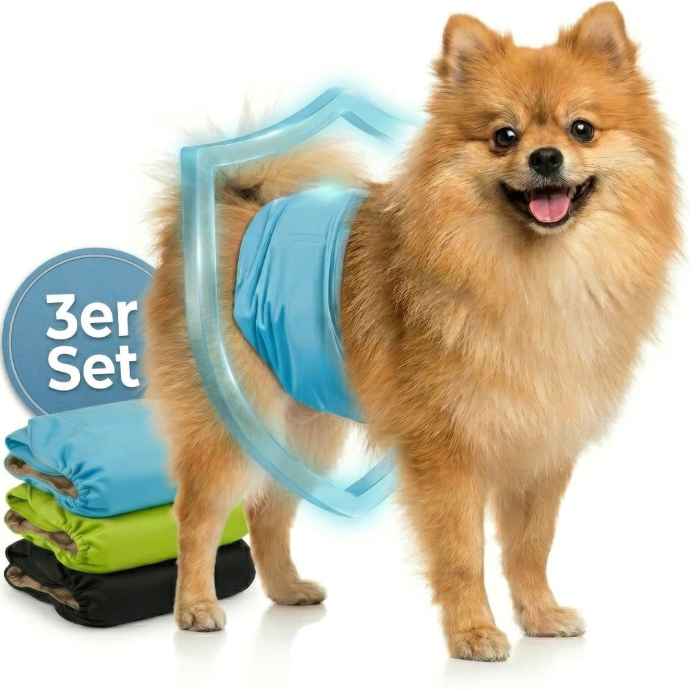 Hundewindeln für Rüden, blau, grün und schwarz. 3er Set. Ein Hund trägt eine blaue Windel. Schild-Symbol.
