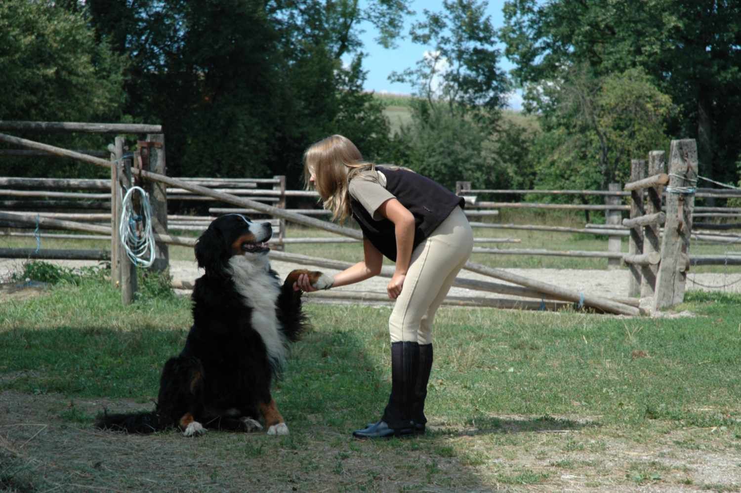 Frau gibt Hund Pfote. Hund sitzt. Holzzaun im Hintergrund. Frau trägt Weste, Hose und Stiefel.