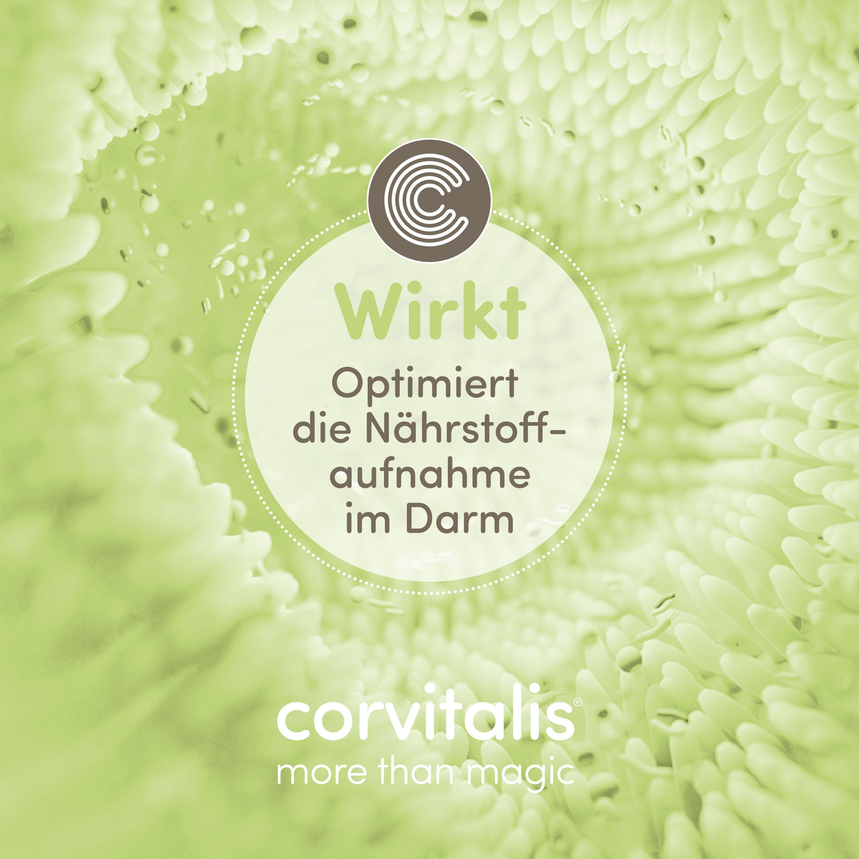 Nahaufnahme einer grünen, spiralförmigen Struktur. Text: "Wirkt. Optimiert die Nährstoffaufnahme im Darm."