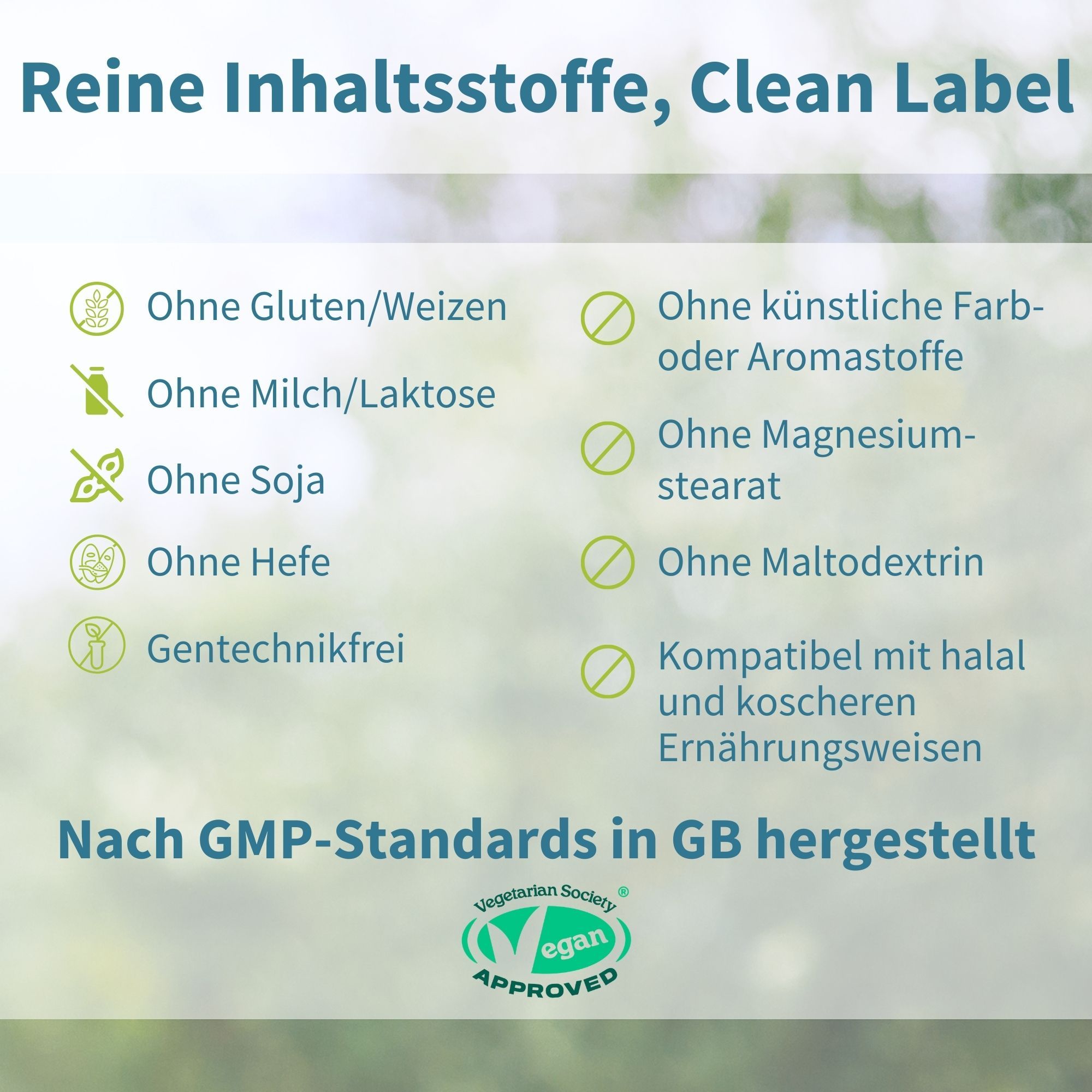 Text mit grünen Häkchen und Symbolen. Ohne Gluten, Laktose, Soja, Hefe, Gentechnik. Vegan-Siegel.