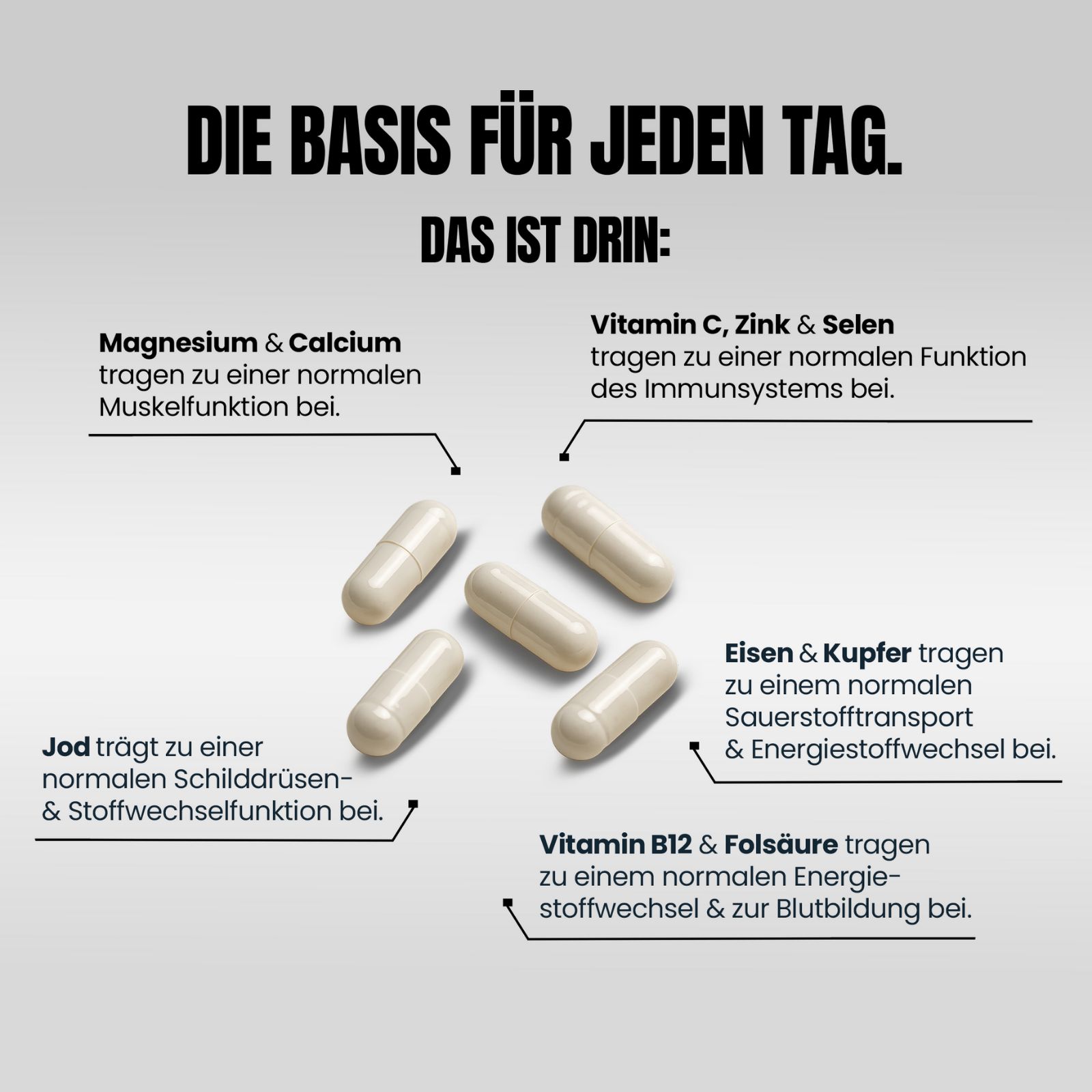 Fünf Kapseln mit detaillierten Beschriftungen zu Magnesium, Calcium, Jod, Vitamin C, Zink, Selen, Eisen, Kupfer, B12 und Folsäure.