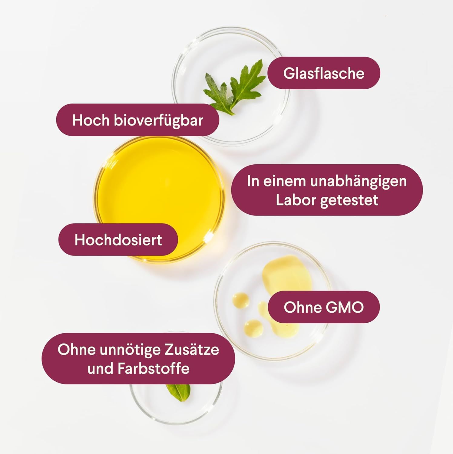 Petrischalen mit Inhaltsstoffen. Aufschrift: Hoch bioverfügbar, hochdosiert, ohne unnötige Zusätze und Farbstoffe, ohne GMO. In einem unabhängigen Labor getestet.