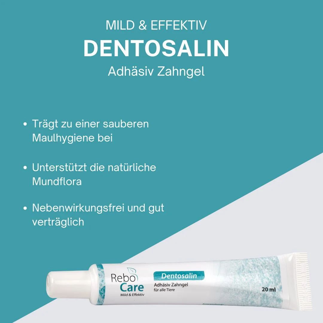 Dentosalin Adhäsives Zahngel