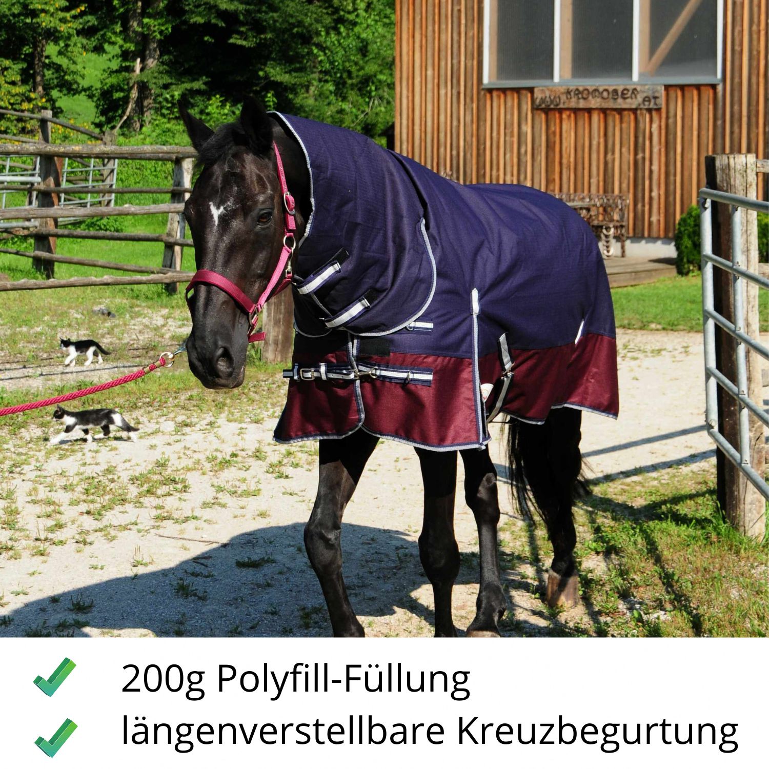 Pferdedecke, dunkelblau mit bordeauxfarbenem Saum. Auf einem Pferd. Text: 200g Polyfill-Füllung, längenverstellbare Kreuzbegurtung.