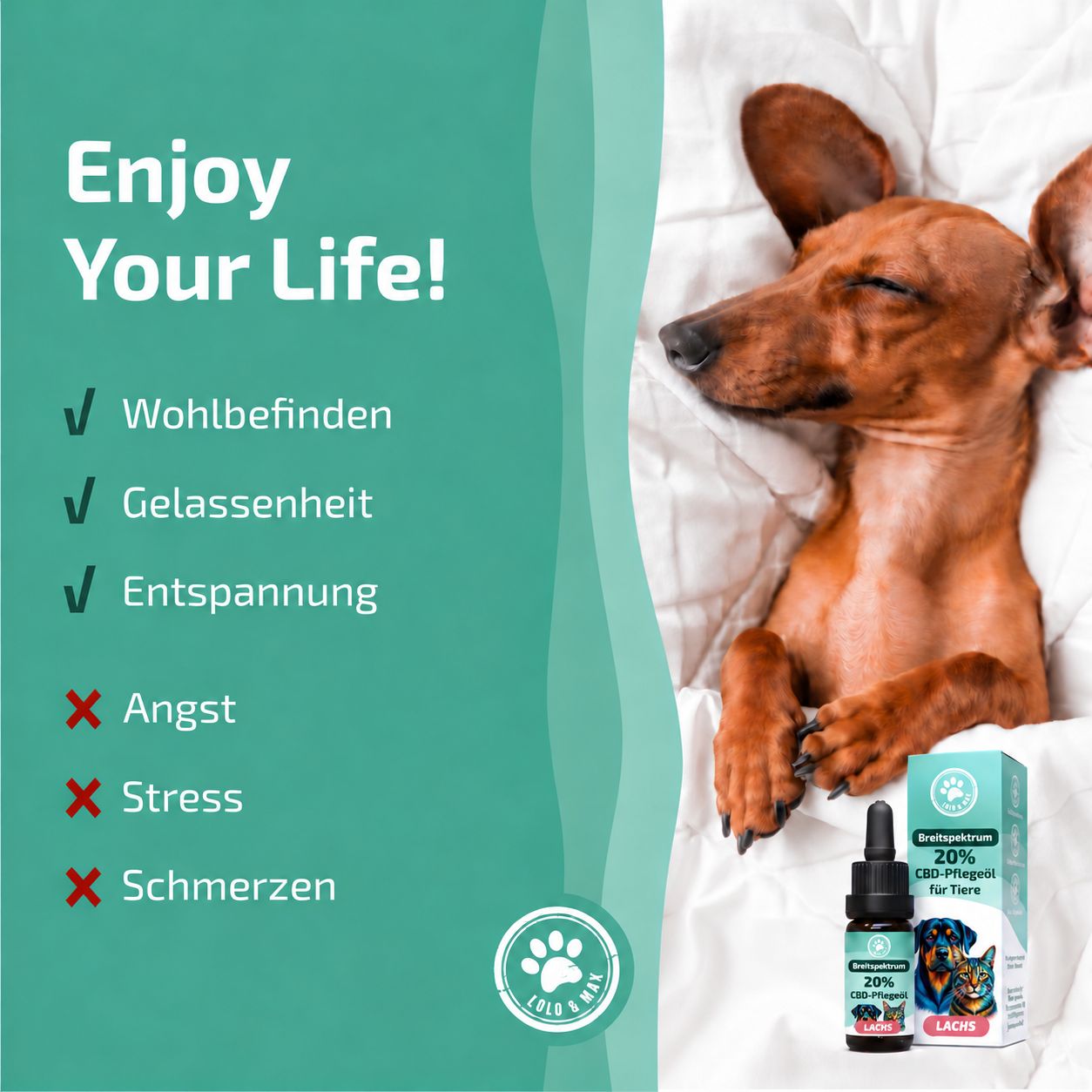 CBD-Pflegeöl für Tiere: "Enjoy Your Life!" mit Hund.