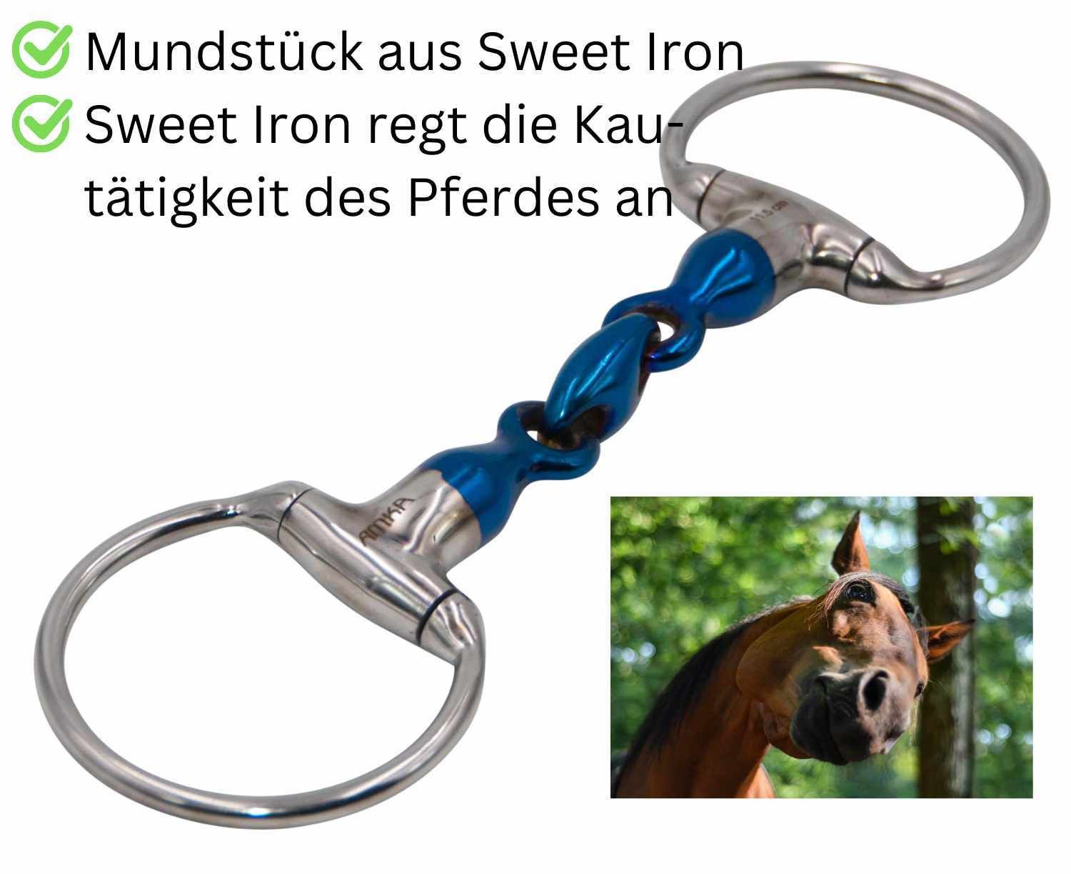 Doppelt gebrochene Olivenkopftrense mit blauem Mittelstück. Mundstück aus Sweet Iron. Ringe und Seitenteile aus Metall. Kleines Pferdeportrait.
