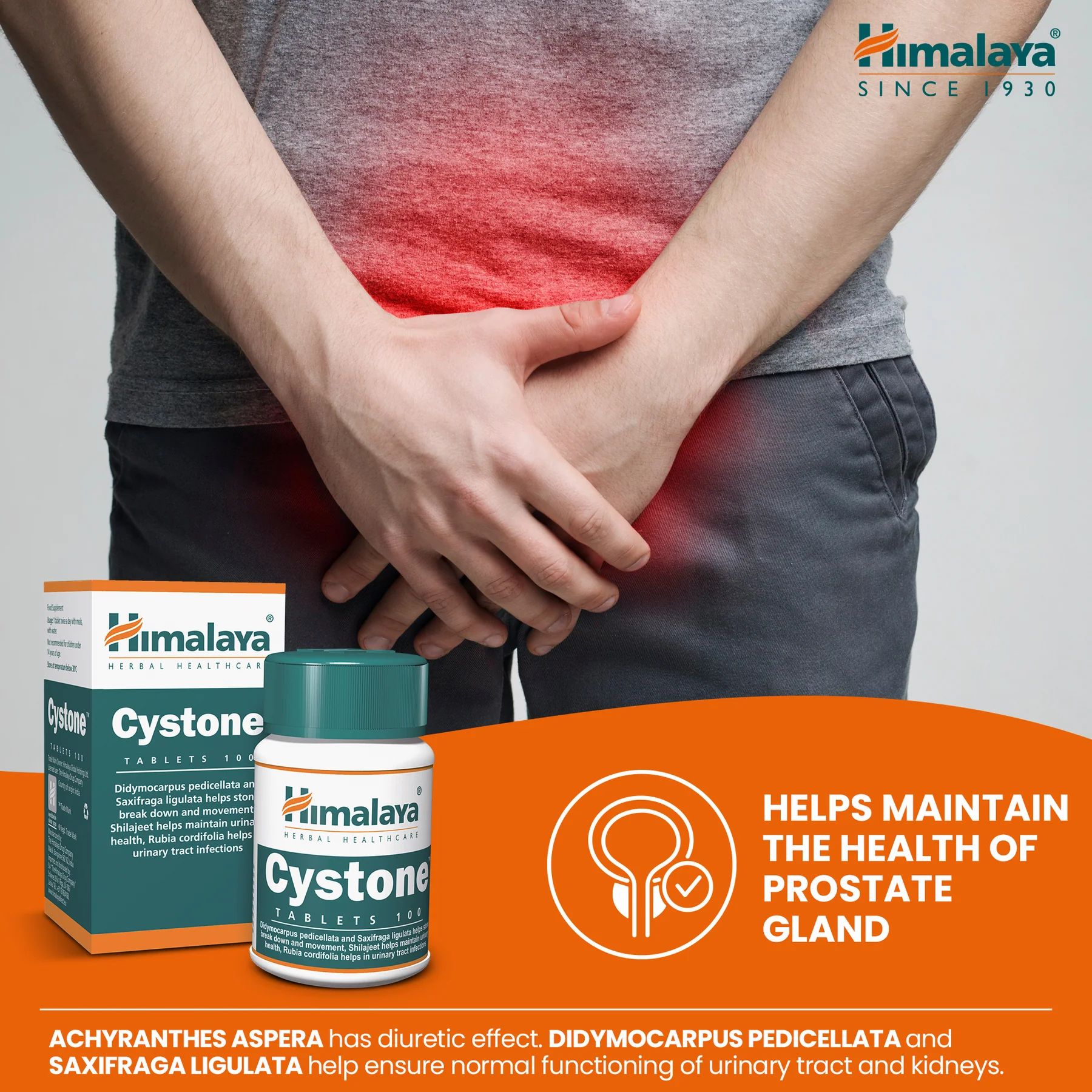 Himalaya Cystone Tabletten und eine Person, die sich die Genitalien hält. Text: Hilft, die Gesundheit der Prostata zu erhalten.