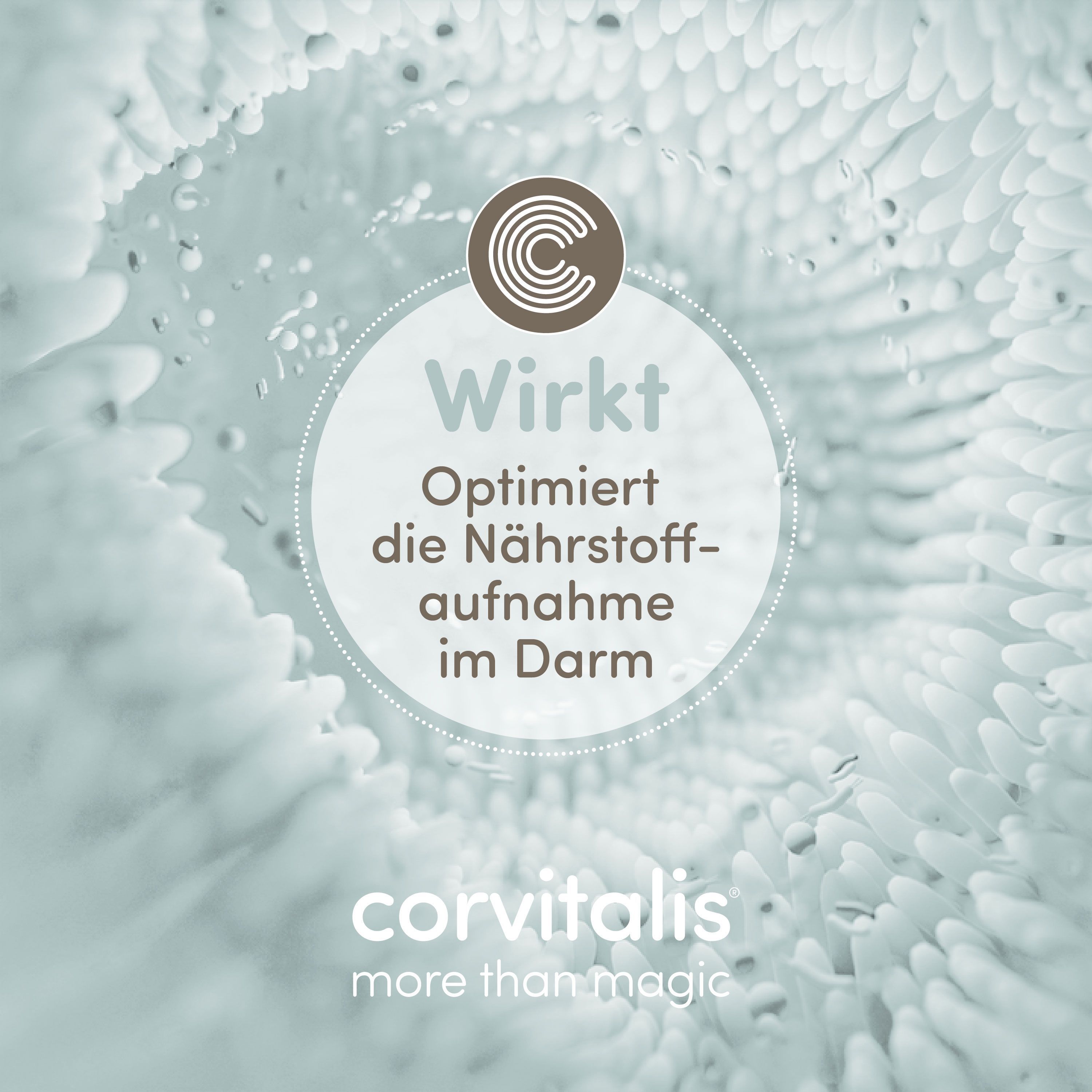 Abstrakte Darstellung des Darms, der die Nährstoffaufnahme optimiert.