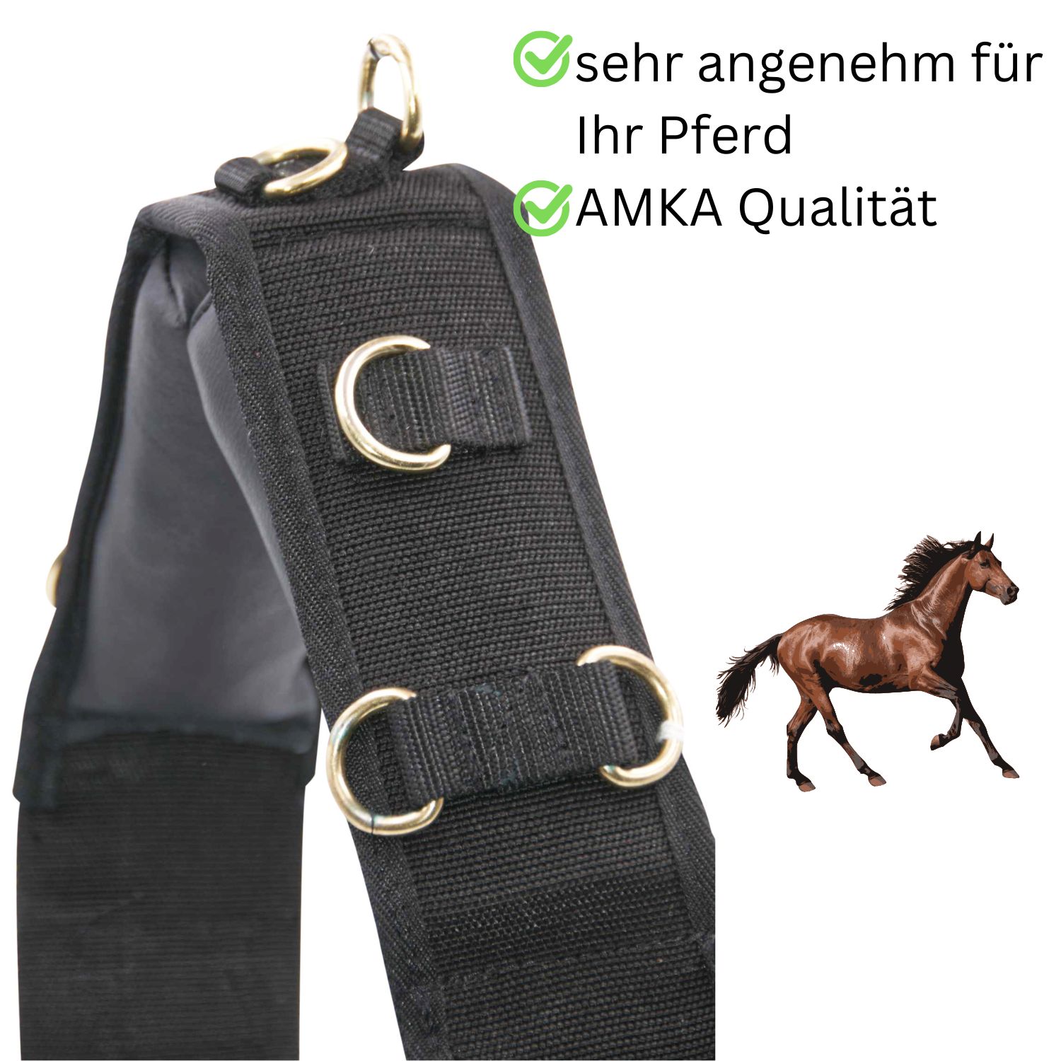 Nahaufnahme eines schwarzen Nylon-Longiergurts mit goldenen Ringen und Schnallen. Text: AMKA Qualität.