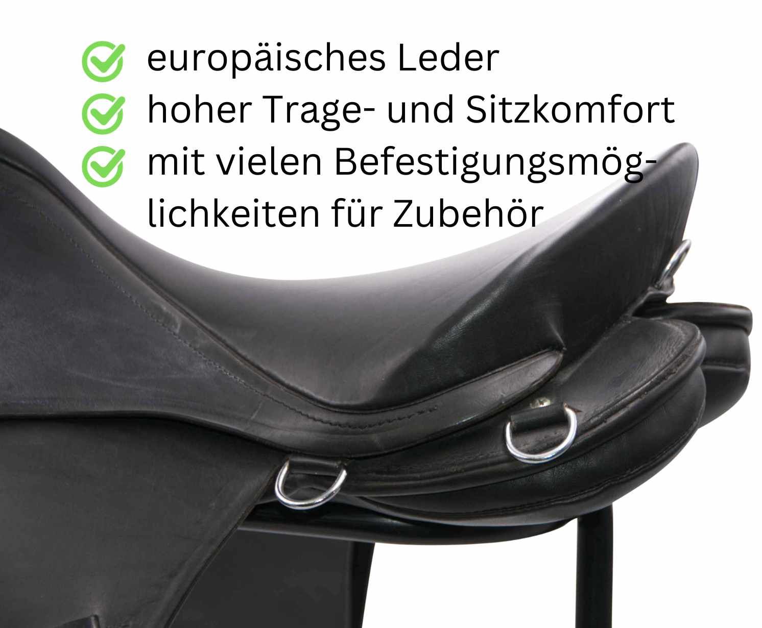 Detailansicht des Sattels. Europäisches Leder, Ringe, Befestigungsmöglichkeiten für Zubehör.