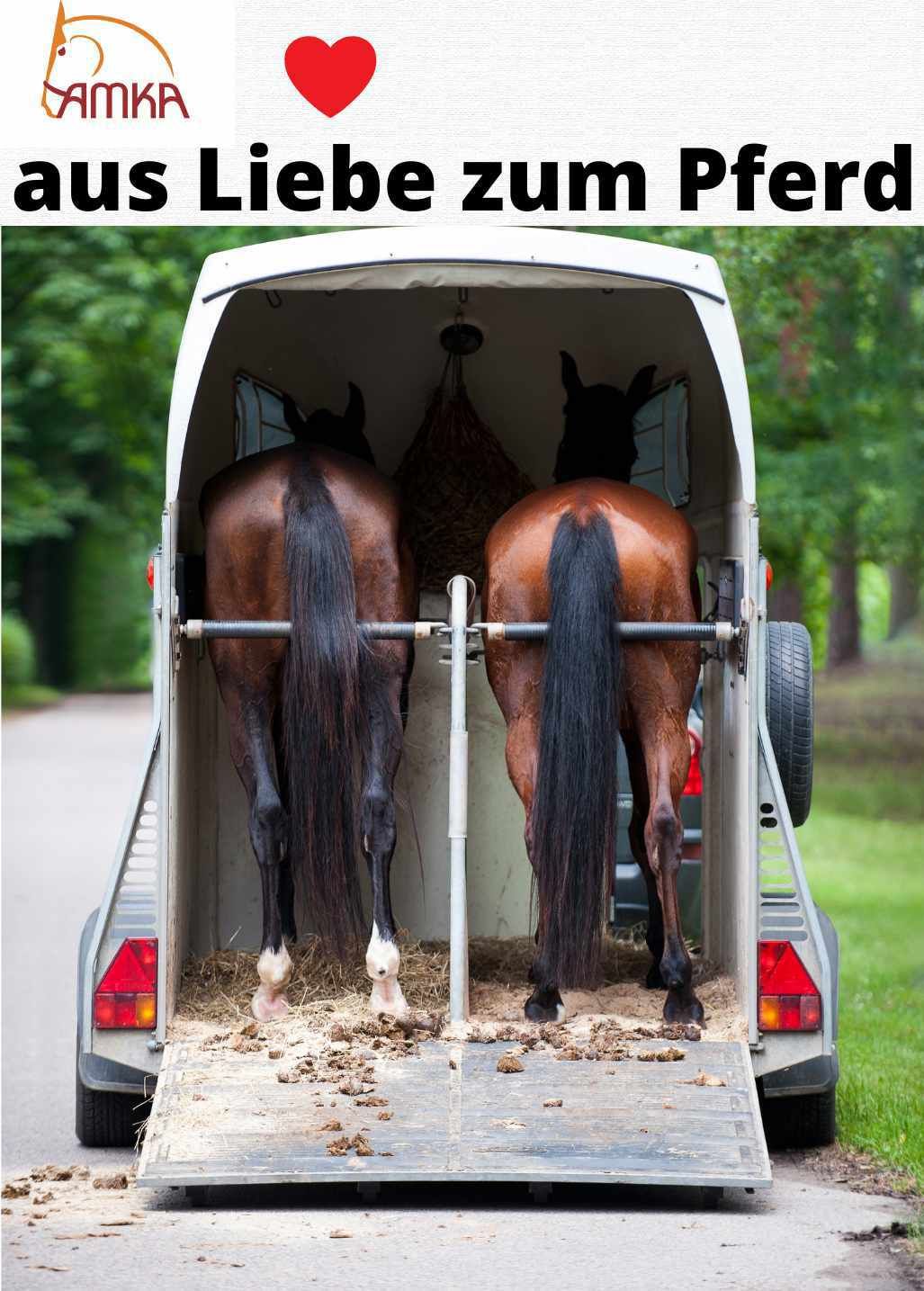 Zwei Pferde in einem Pferdeanhänger. Text: AMKA, aus Liebe zum Pferd.