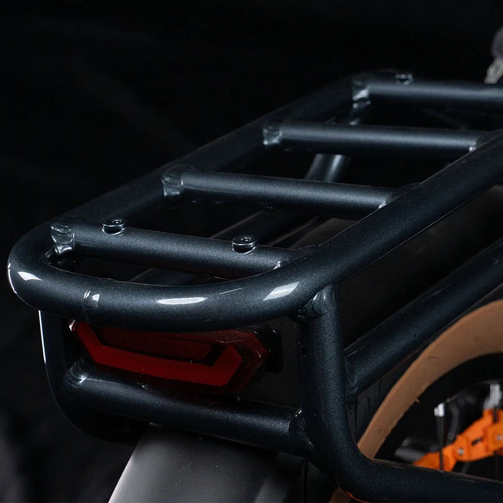 Gepäckträger am Heck des E-Bikes. Rotes Rücklicht und Rahmenstruktur sichtbar.