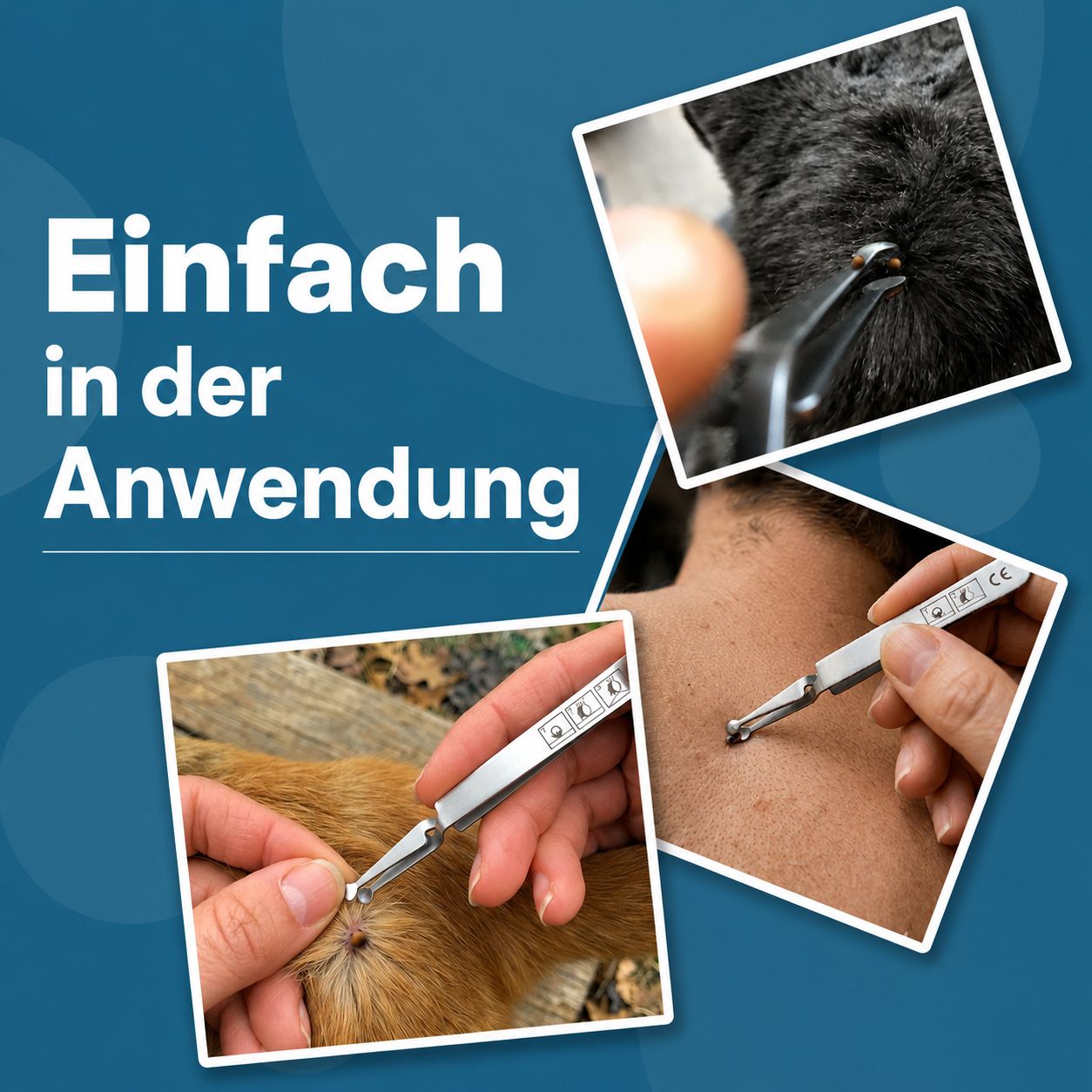 Zeckenzange in Anwendung. Drei Fotos zeigen die Anwendung an Hund und Mensch. Text: Einfach in der Anwendung.