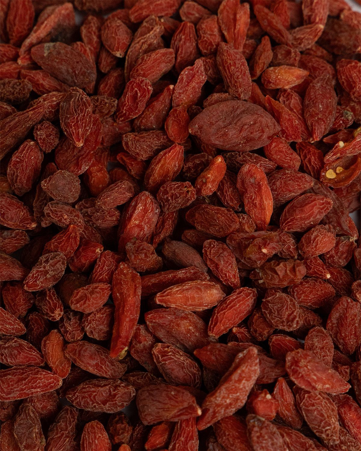 Nahaufnahme von getrockneten Gojibeeren. Rote, längliche Form.