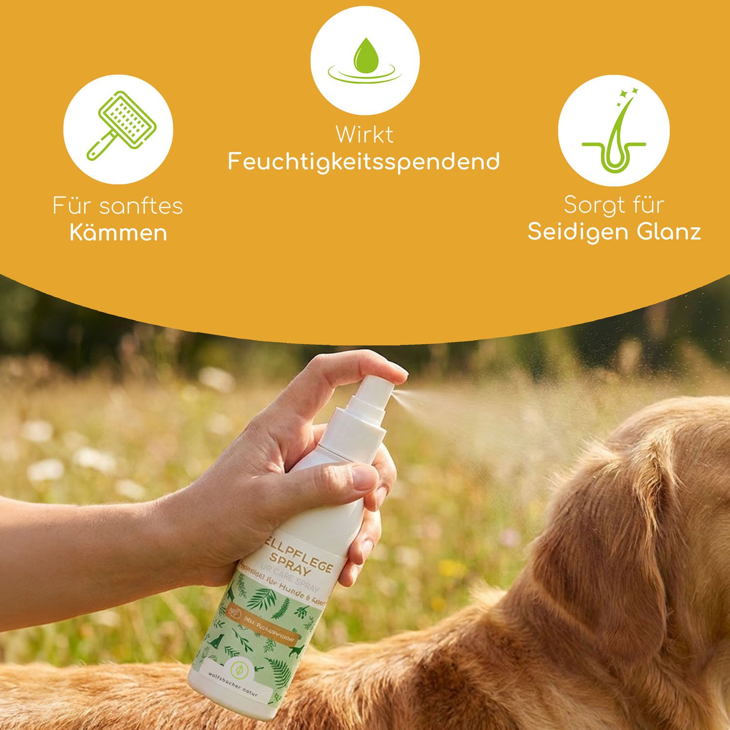 Hand sprüht Fellpflege Spray auf Hund. Text: Für sanftes Kämmen, Wirkt feuchtigkeitsspendend, Sorgt für seidigen Glanz. Hintergrund: gelb und Wiese.