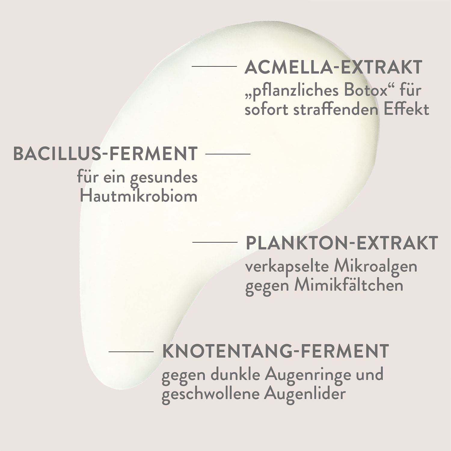 Nahaufnahme einer cremigen Substanz mit Text. Beschriftung: ACMELLA-EXTRAKT, BACILLUS-FERMENT, PLANKTON-EXTRAKT, KNOTENTANG-FERMENT.