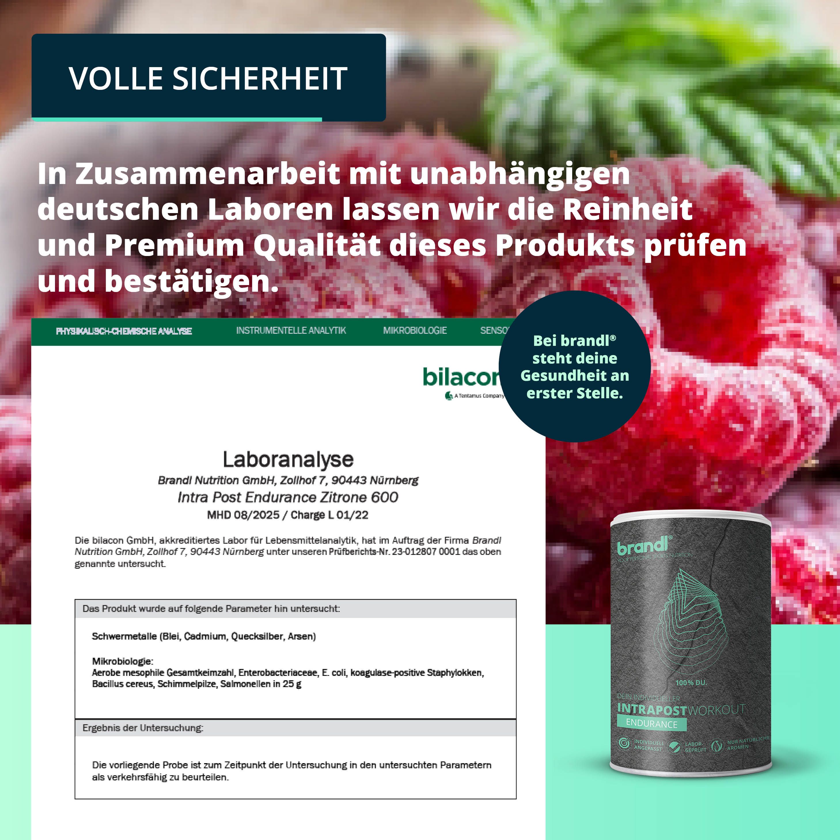 Produktverpackung mit Laboranalyse. Dose brandl Intrapostworkout. Himbeeren im Hintergrund. Text: Premium Qualität.